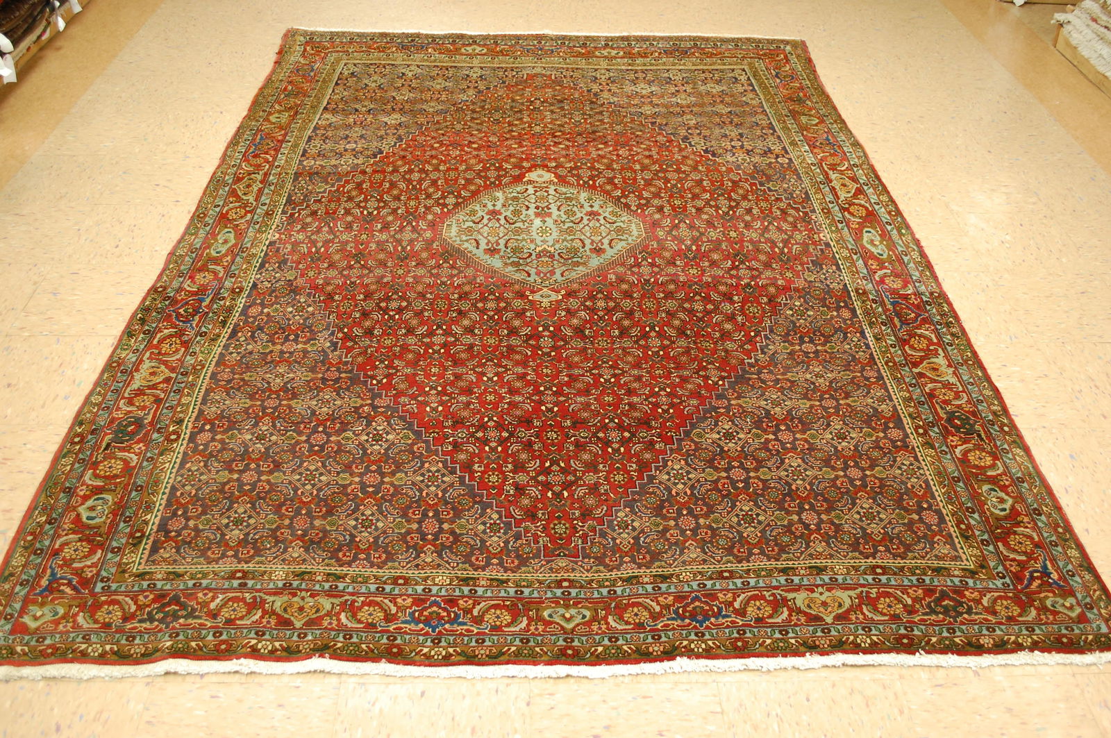 Persian BIJAR RUG 6'8" x 9'5" - 6