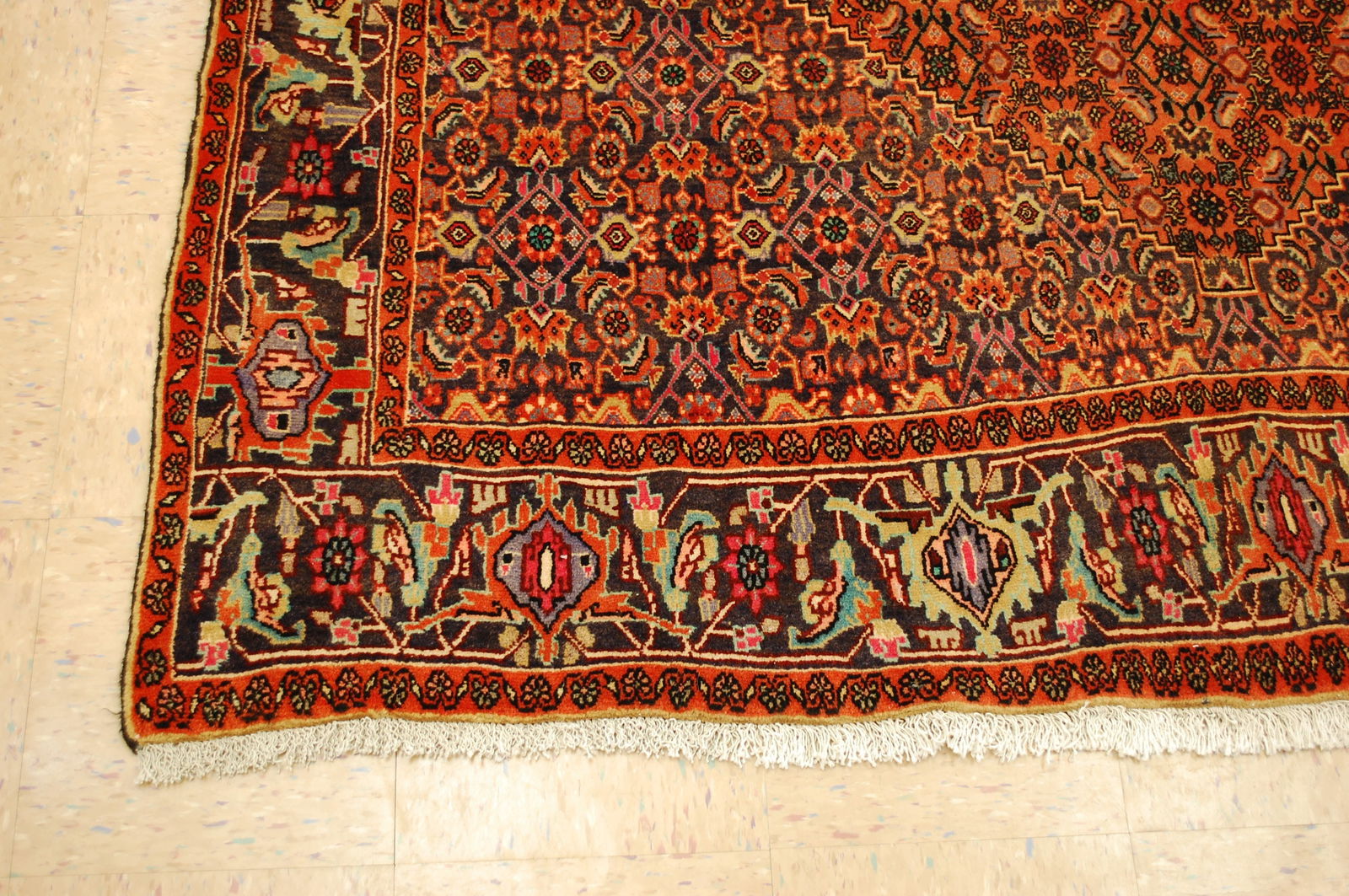 Persian BIJAR RUG 6.7x10.3 - 3