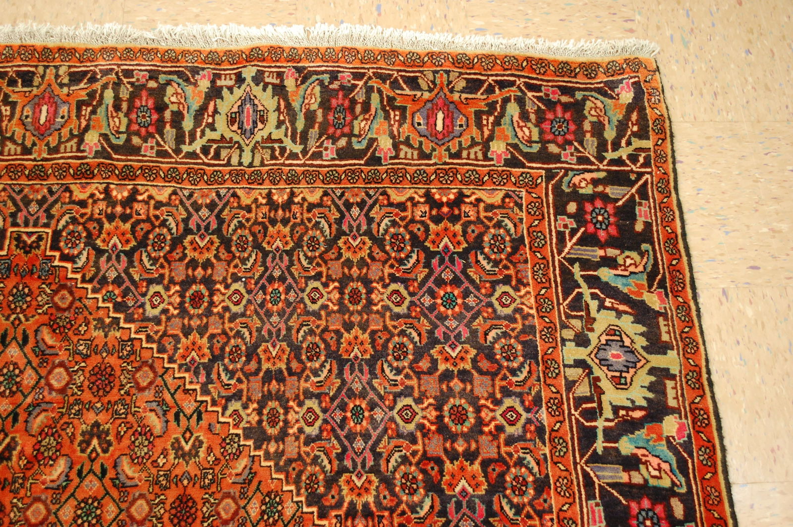 Persian BIJAR RUG 6.7x10.3 - 5