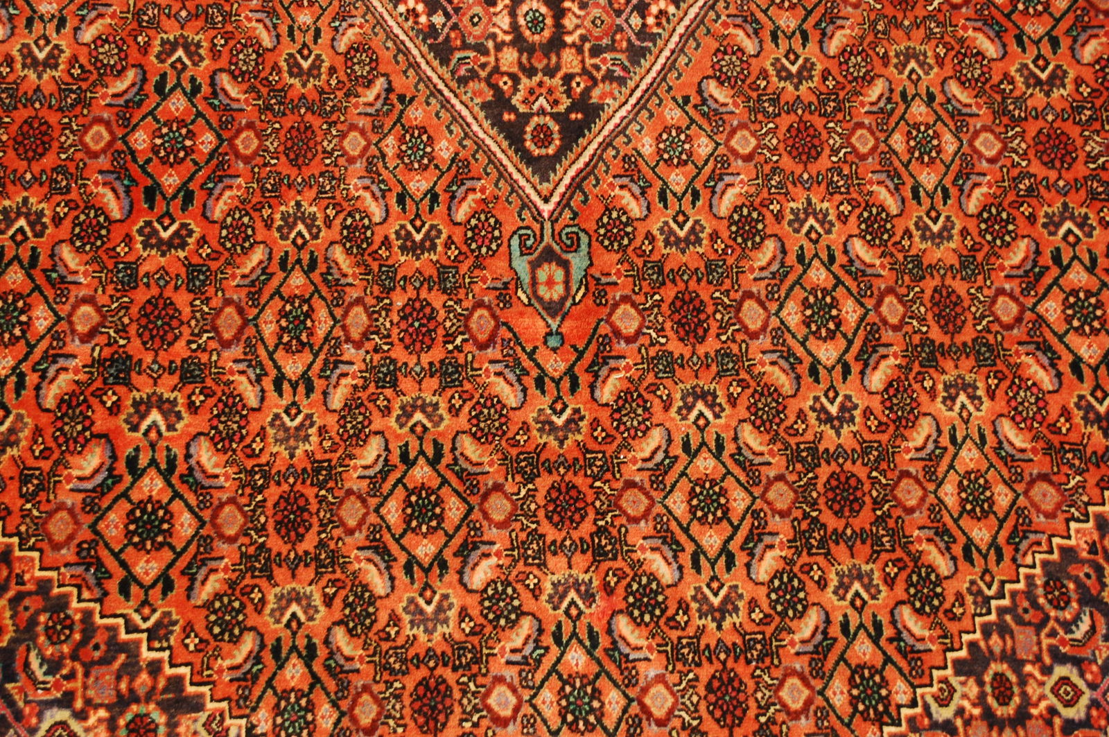Persian BIJAR RUG 6.7x10.3 - 7