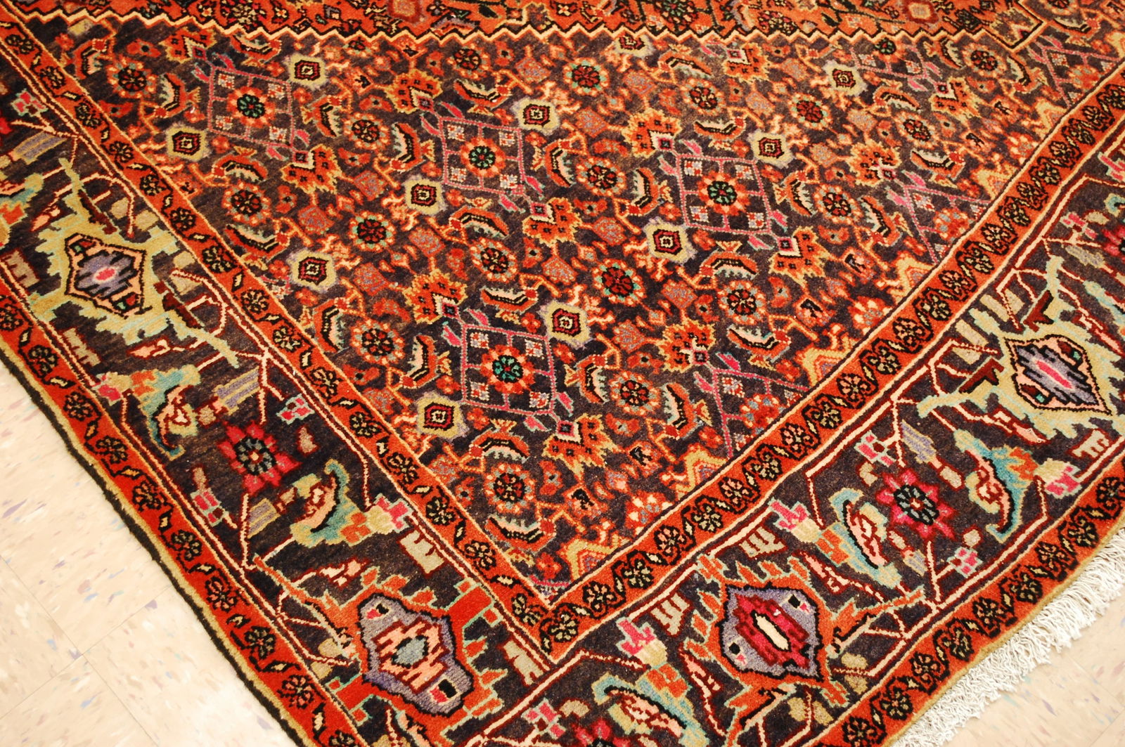 Persian BIJAR RUG 6.7x10.3 - 8