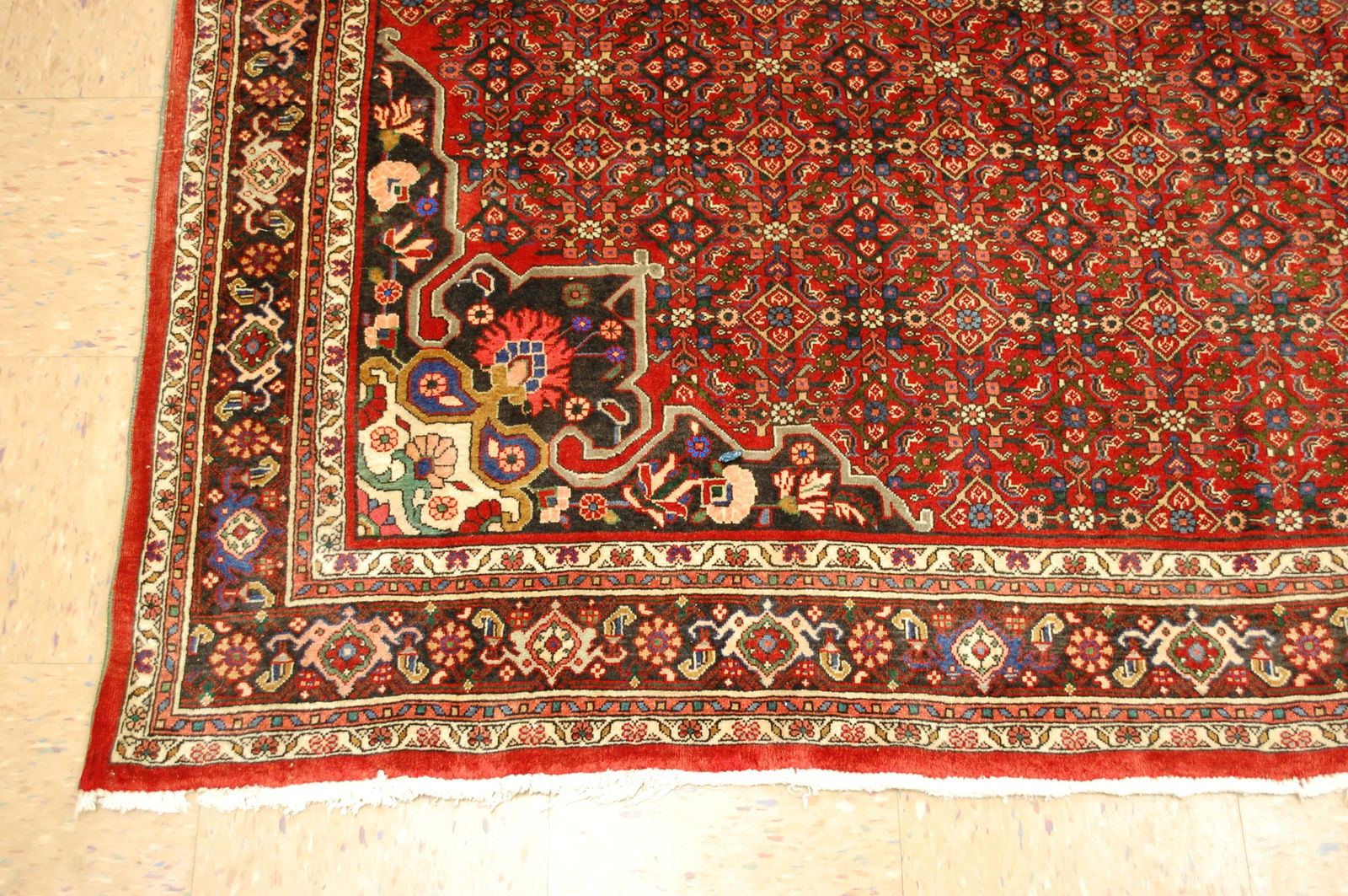 Persian BIJAR RUG 7'x10' - 3