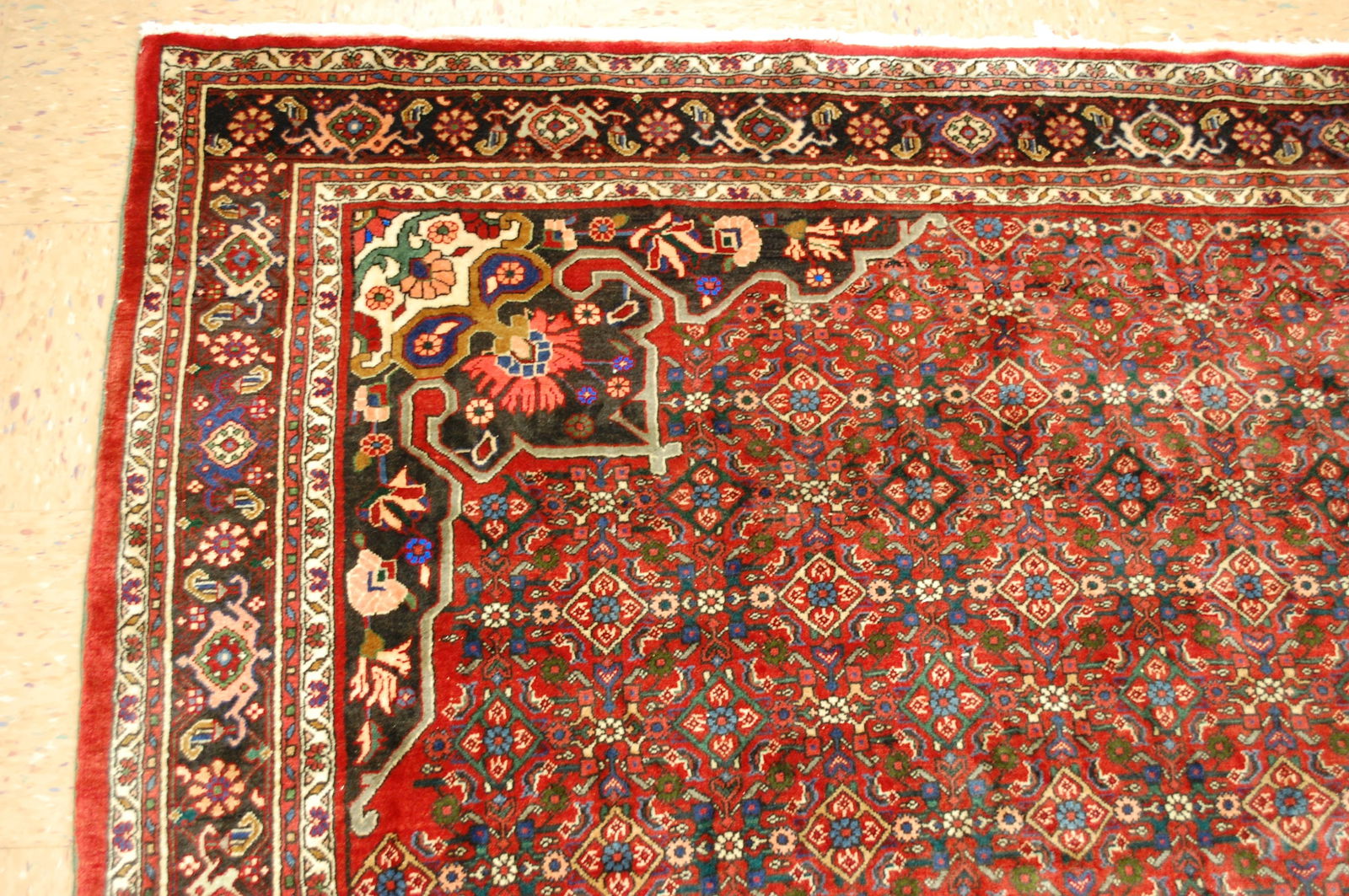 Persian BIJAR RUG 7'x10' - 4