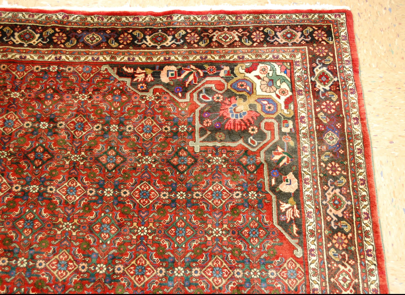 Persian BIJAR RUG 7'x10' - 5