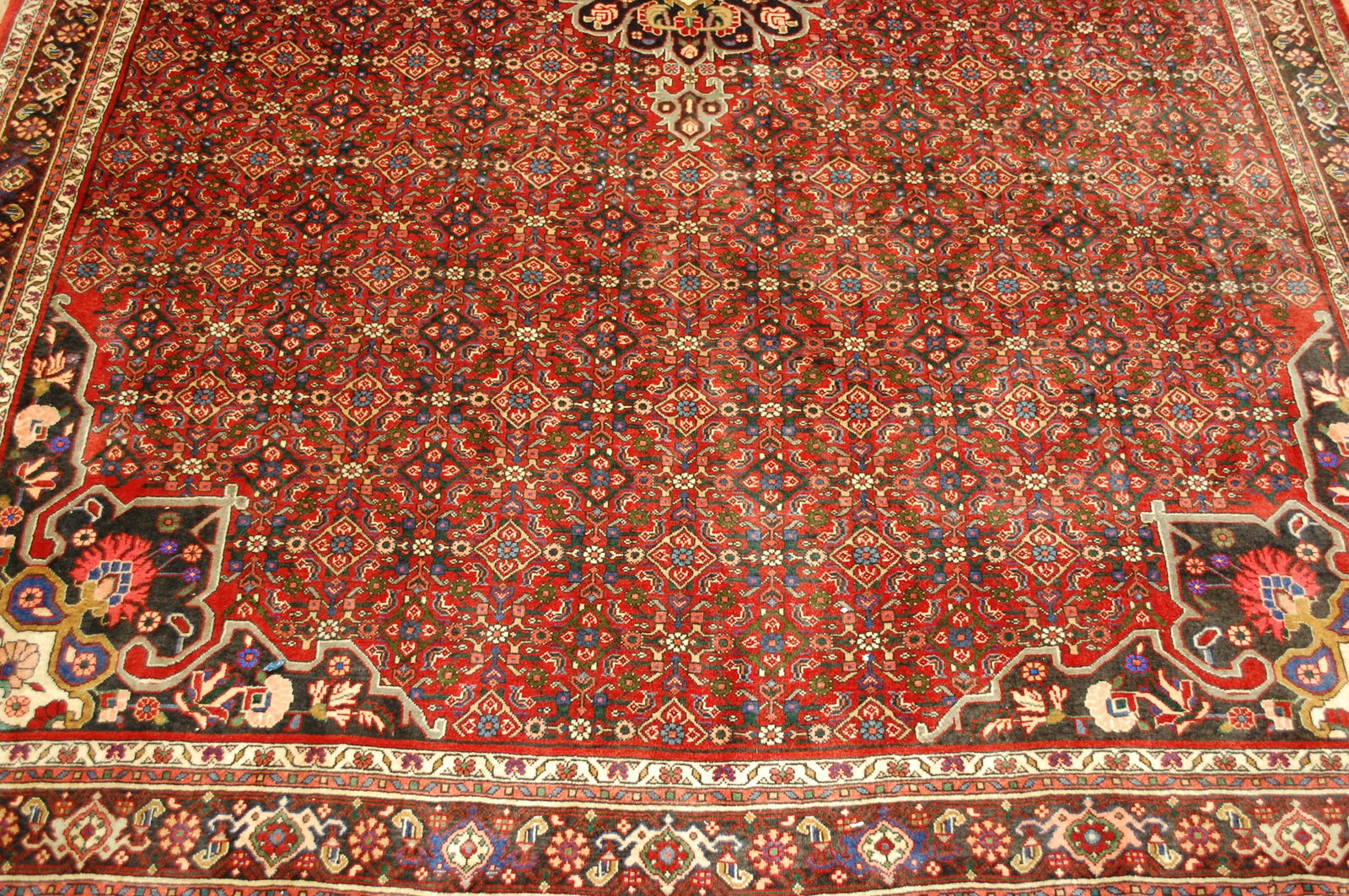 Persian BIJAR RUG 7'x10' - 6