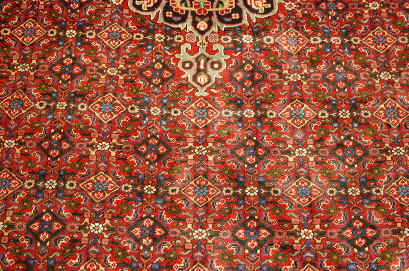 Persian BIJAR RUG 7'x10' - 7