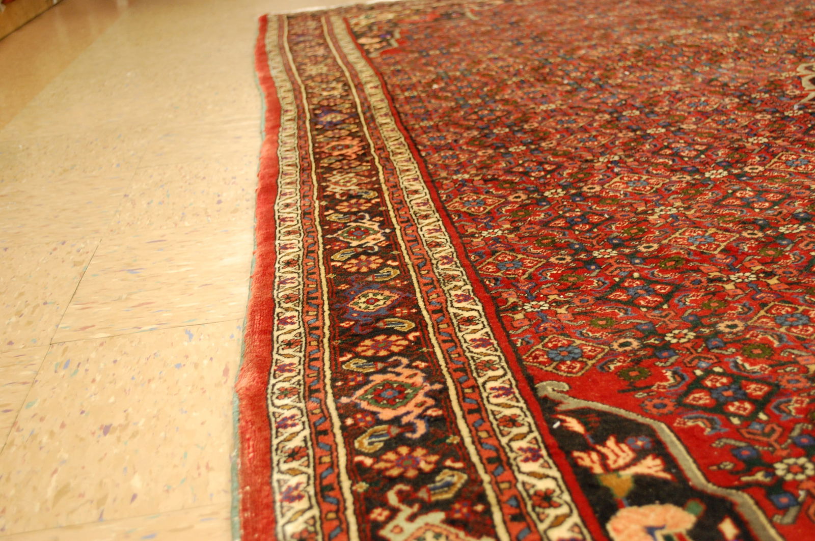 Persian BIJAR RUG 7'x10' - 9