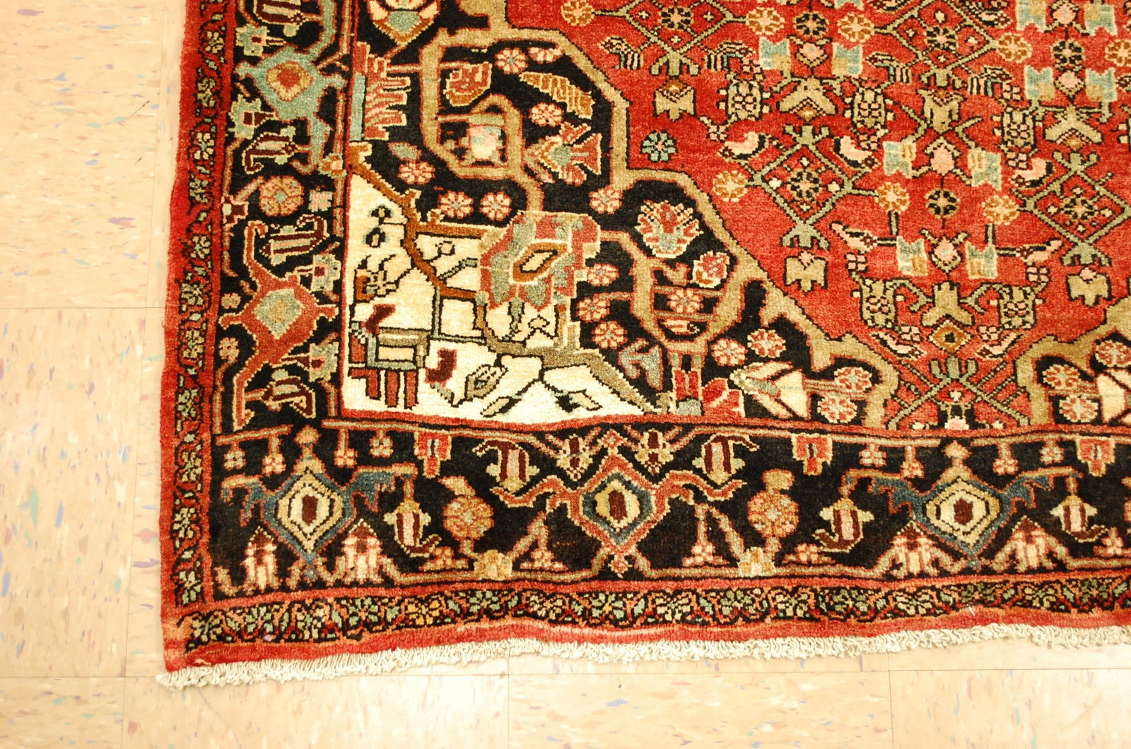 Persian BIJAR RUG 4.6 x 8.3 - 3
