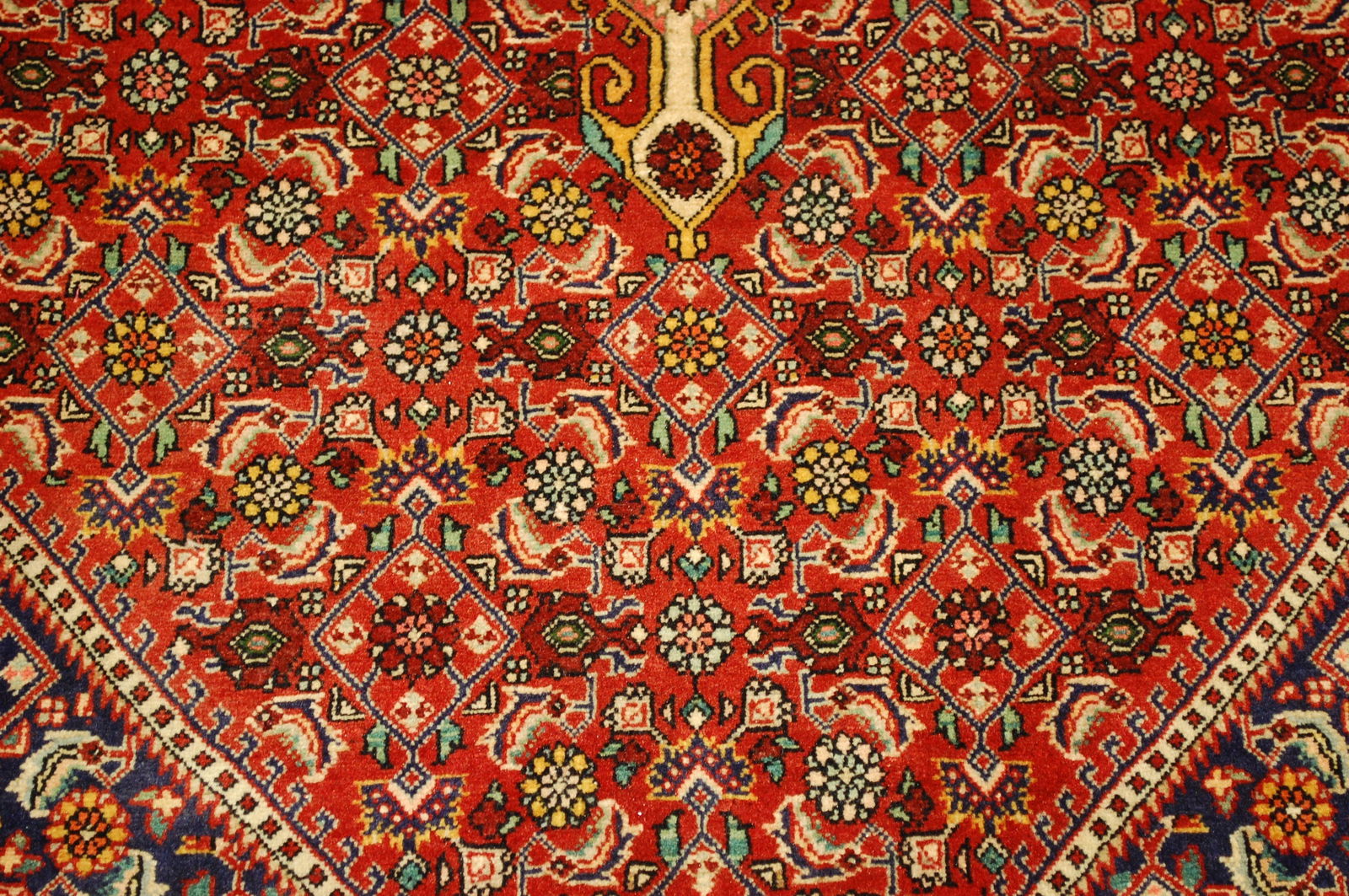 Persian BIJAR RUG 4.3x6.5 - 8