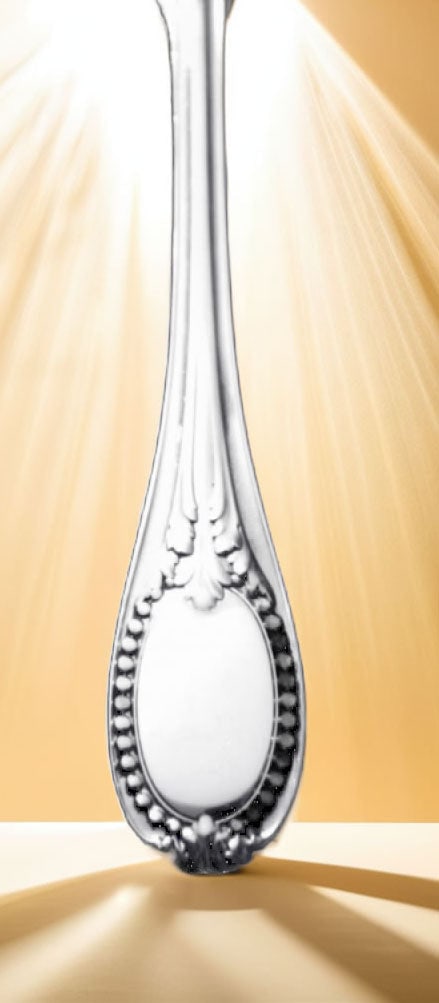 Claude Doutre Roussel - 22 Sterling Silver 19th Century Louis XVI Flatware Serving Pieces, No - 15