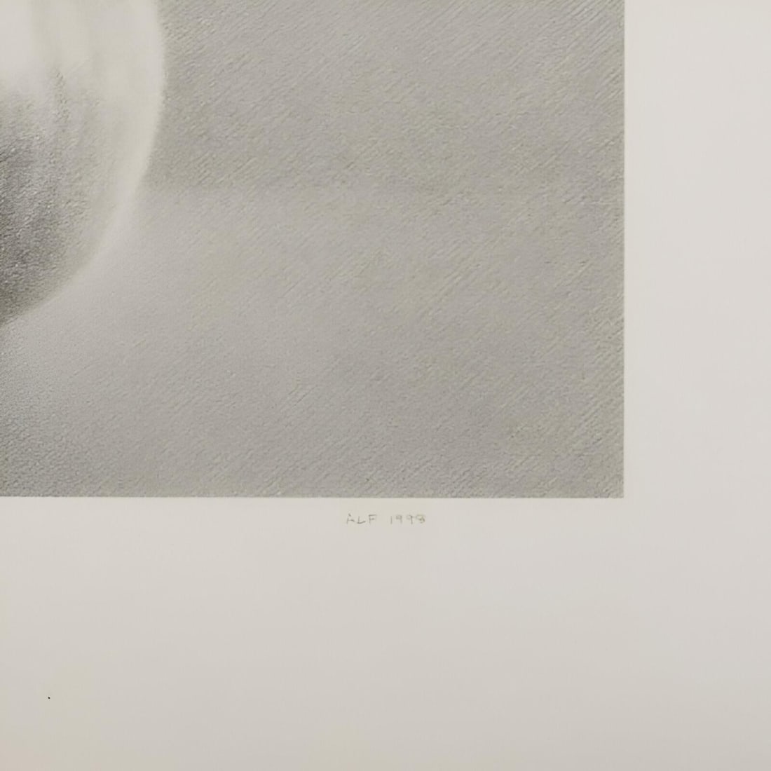 Martha Alf "Apple" Still Life Lithograph Print Limited Edition of 250 Signed - 8