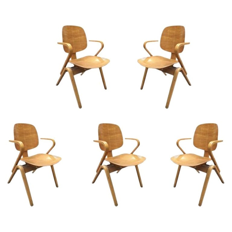 Midcentury Thonet Bent Plywood Armchairs by Joe Atkinson, Set of 5 - 14