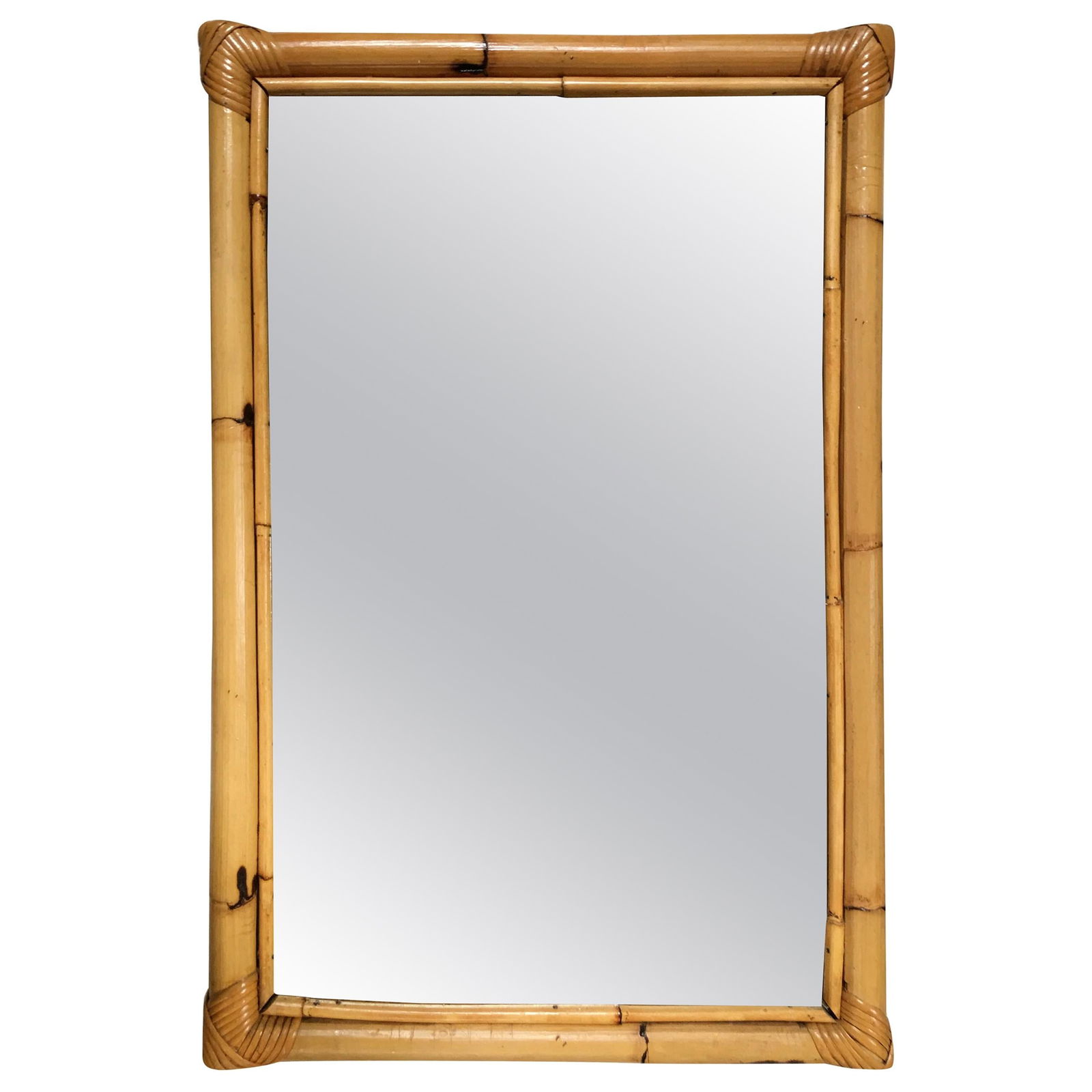 Two-Strand Rectangle Rattan Mirror with Stick Rattan Border