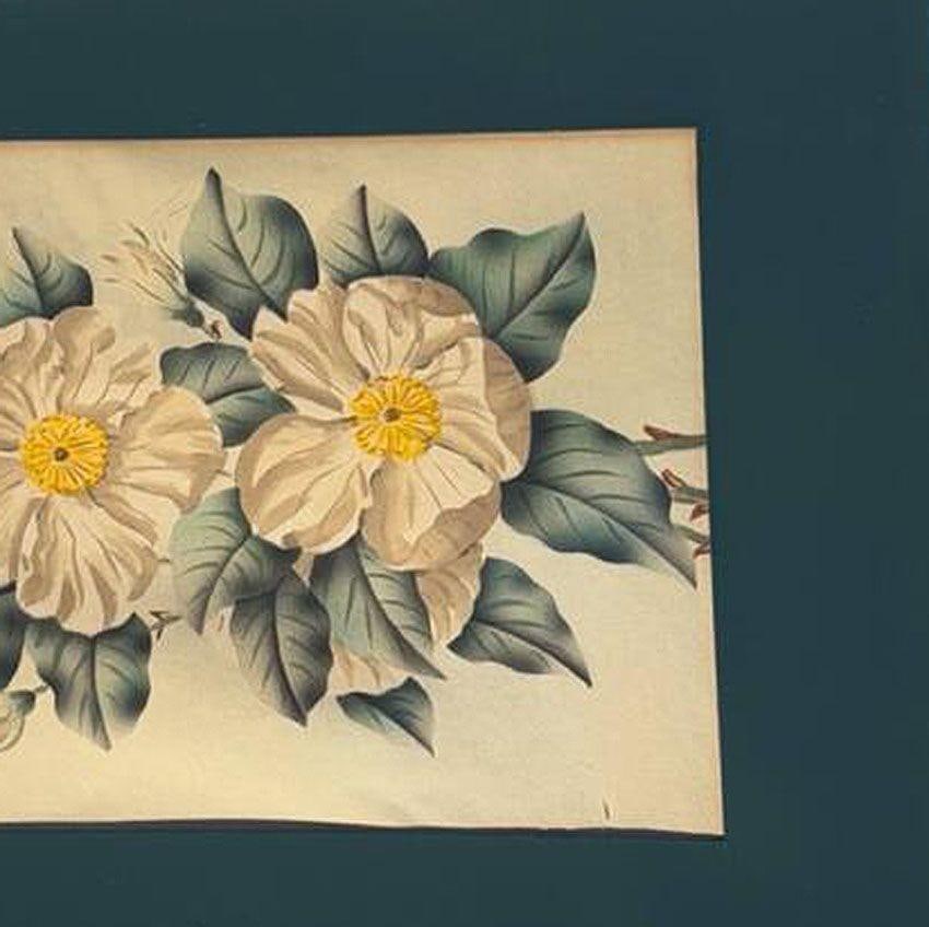 Mid Century White Camellia Botanical Floral Lithograph Print in Original Frame - 16