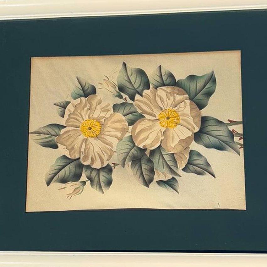 Mid Century White Camellia Botanical Floral Lithograph Print in Original Frame - 3
