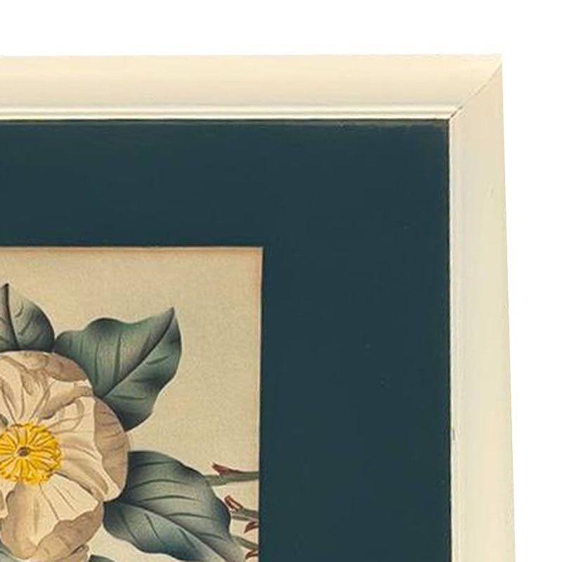 Mid Century White Camellia Botanical Floral Lithograph Print in Original Frame - 5