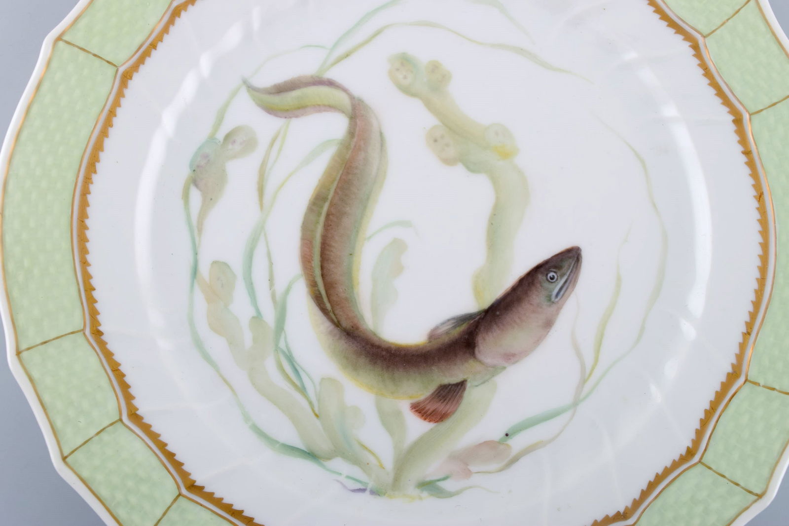 Royal Copenhagen fish plate with green edge, gold decoration and fish motif. Model 919/1710. - 2