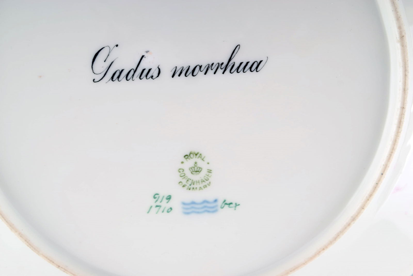 Royal Copenhagen fish plate with green edge, gold decoration and fish motif. Model 919/1710. - 4