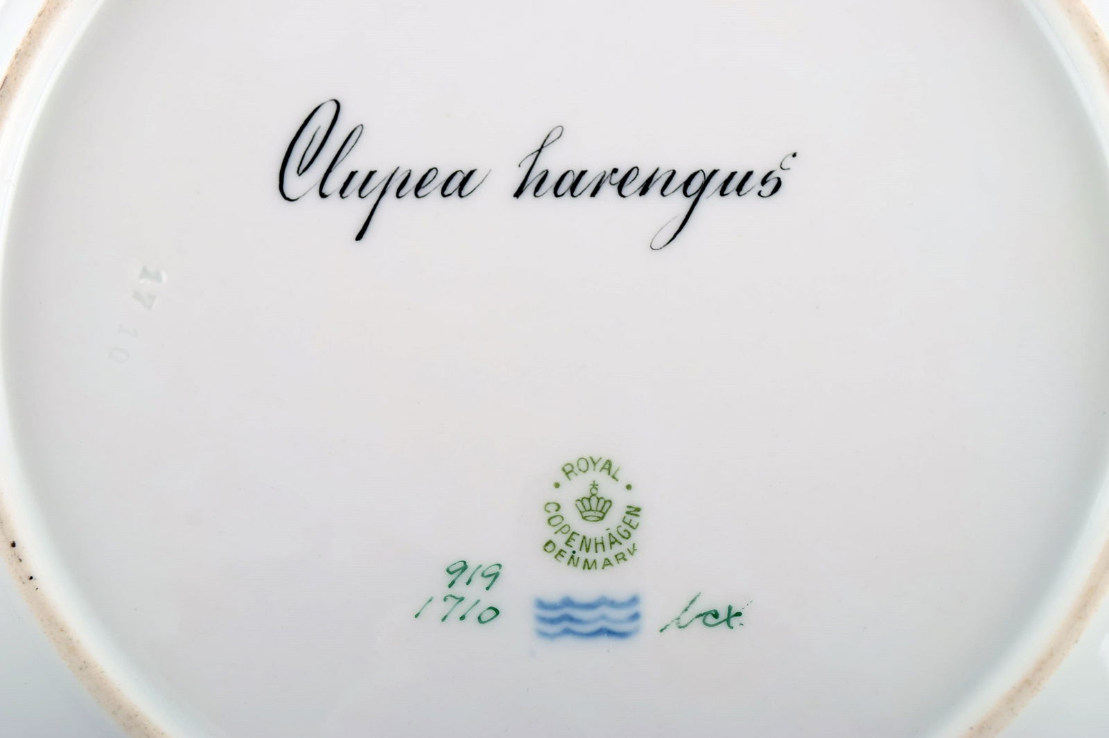 Royal Copenhagen fish plate with green edge, gold decoration and fish motif. Model 919/1710. - 4