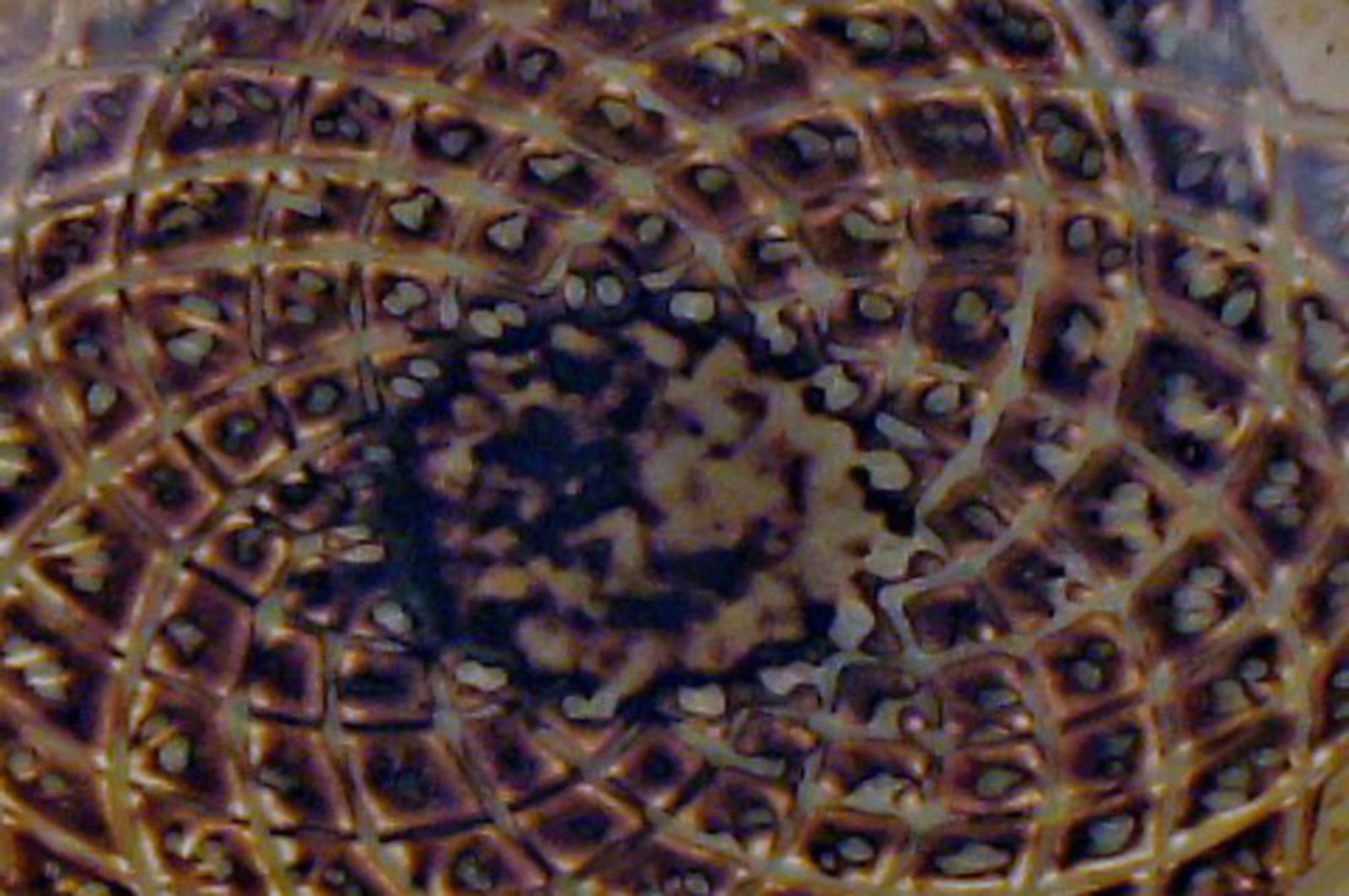 2 Royal Copenhagen dishes in ceramics by Gerd Bøgelund. - 3