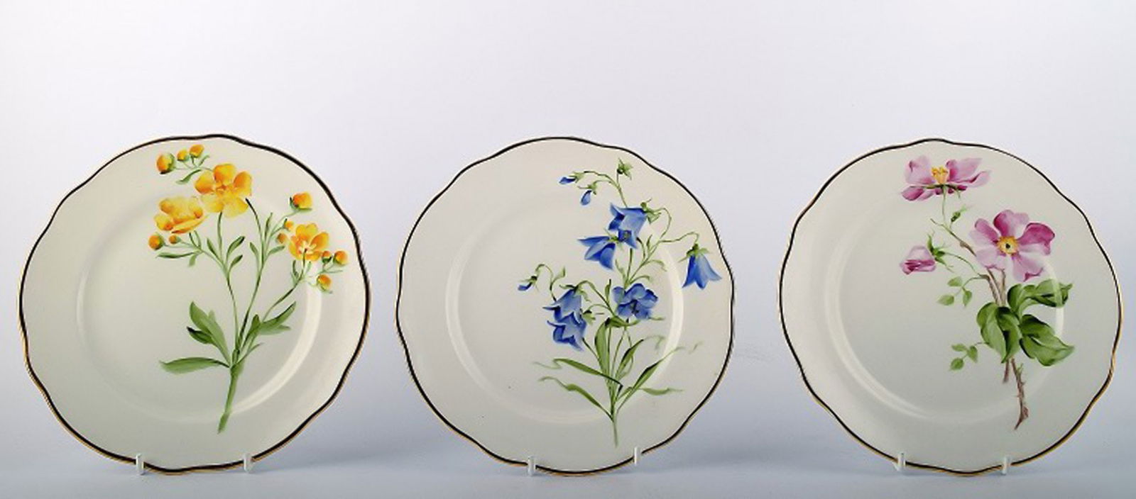Art nouveau Rorstrand, set of 11 porcelain plates with floral motifs. (1 of 2)