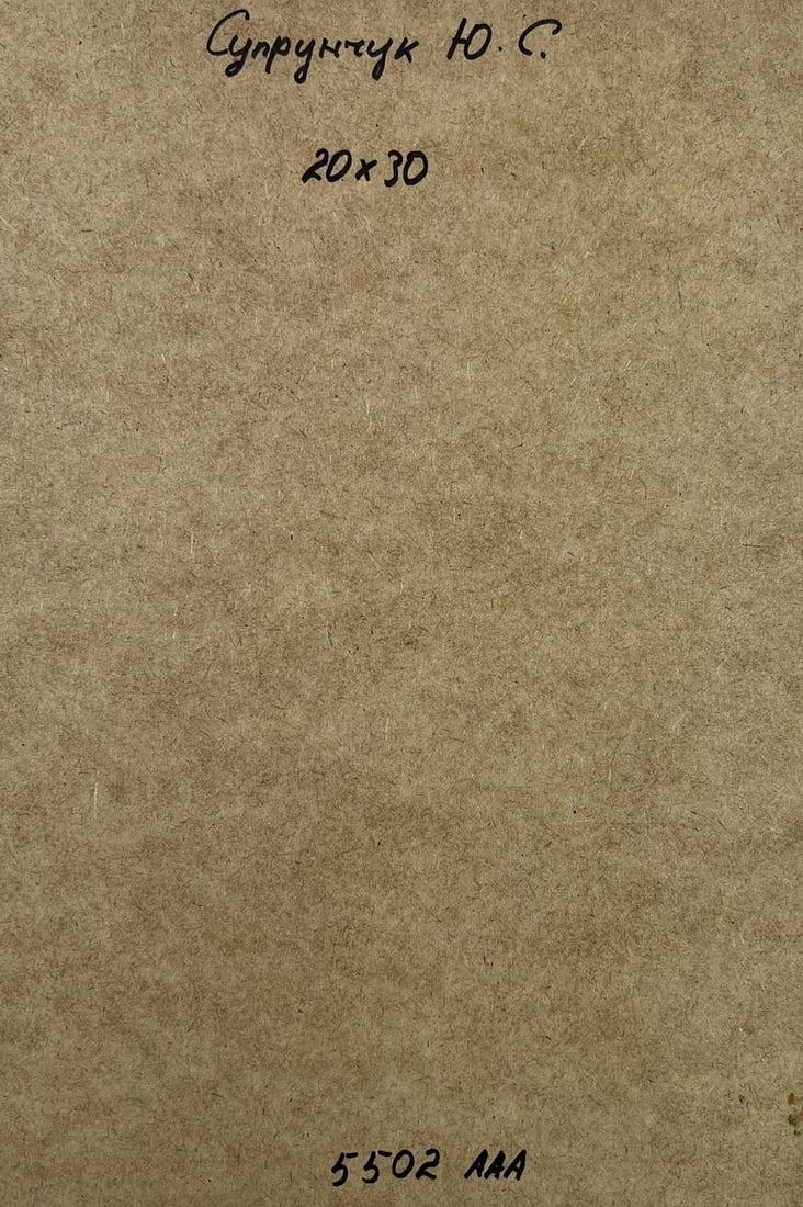 Oil painting The sea gently caresses the buildings Yuriy Suprunchuk - 9