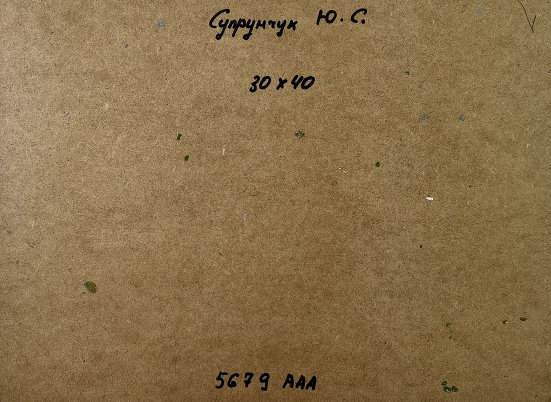 Oil painting A quiet village corner Yuriy Suprunchuk - 10