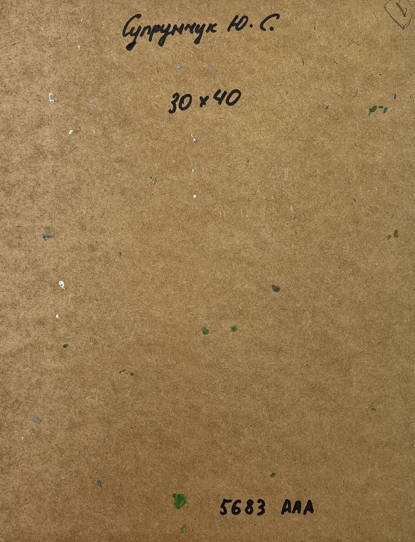 Oil painting Boat on the shore Yuriy Suprunchuk - 9