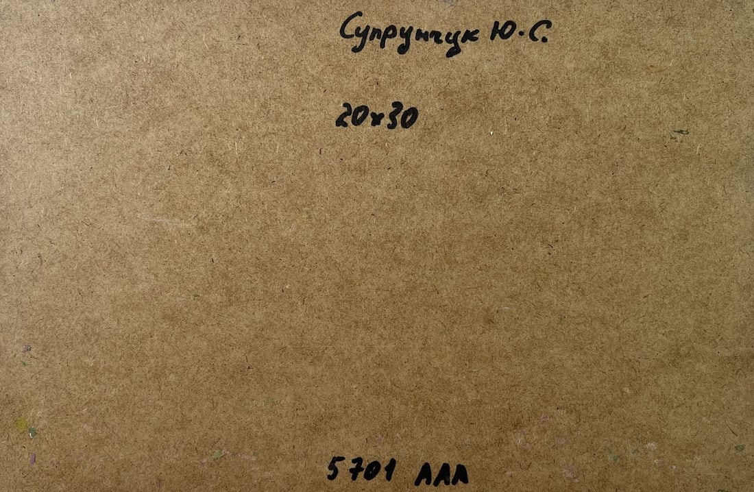 Oil painting Country geese Yuriy Suprunchuk - 10