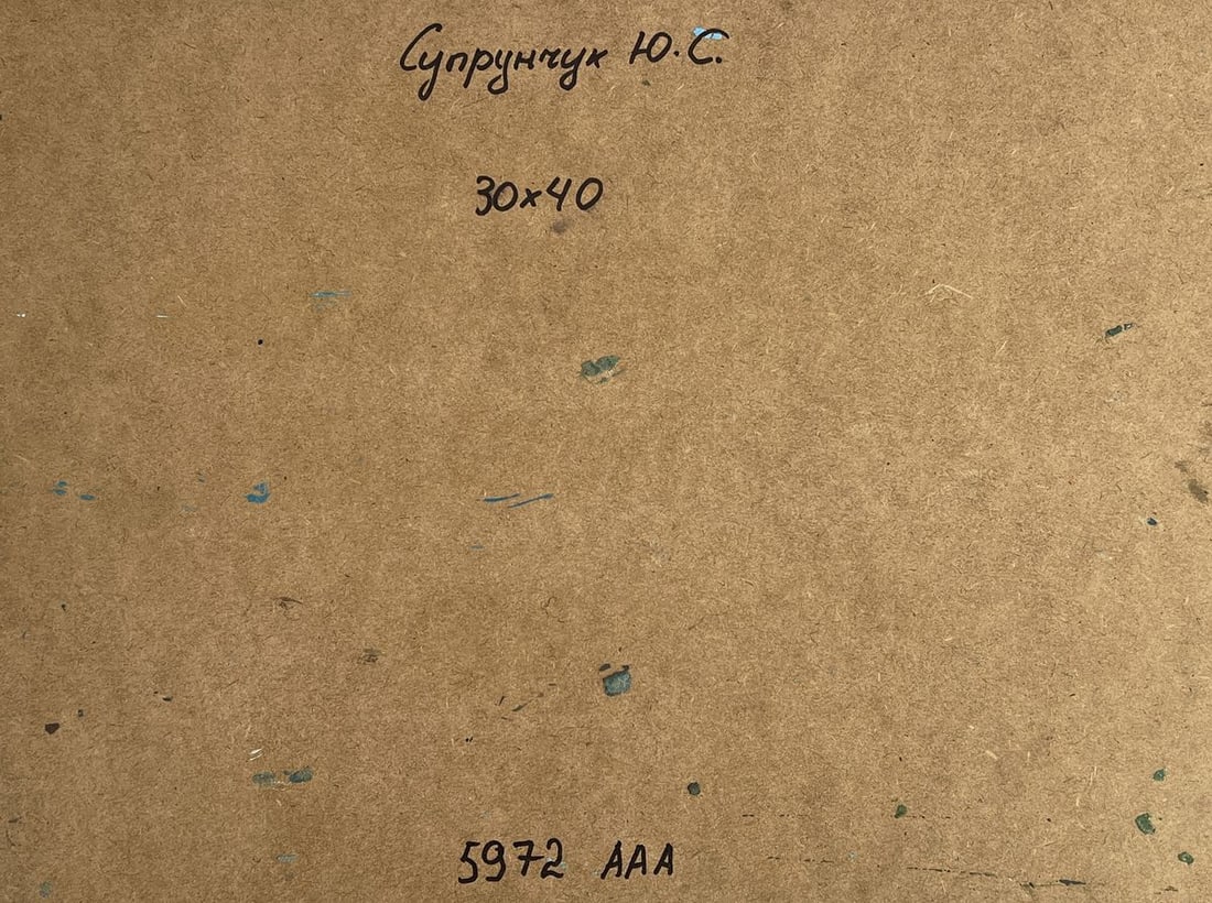 Oil painting Rural grey river Yuriy Suprunchuk - 11