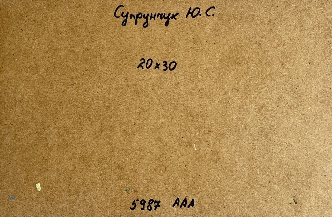 Oil painting A village river with two boats Yuriy Suprunchuk - 11