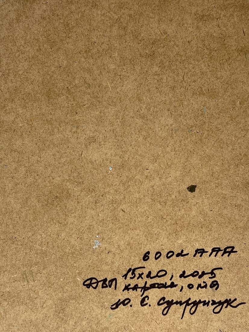 Oil painting Houses by the river Yuriy Suprunchuk - 11