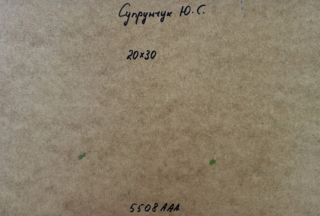 Oil painting River carries a boat through silence Yuriy Suprunchuk - 10