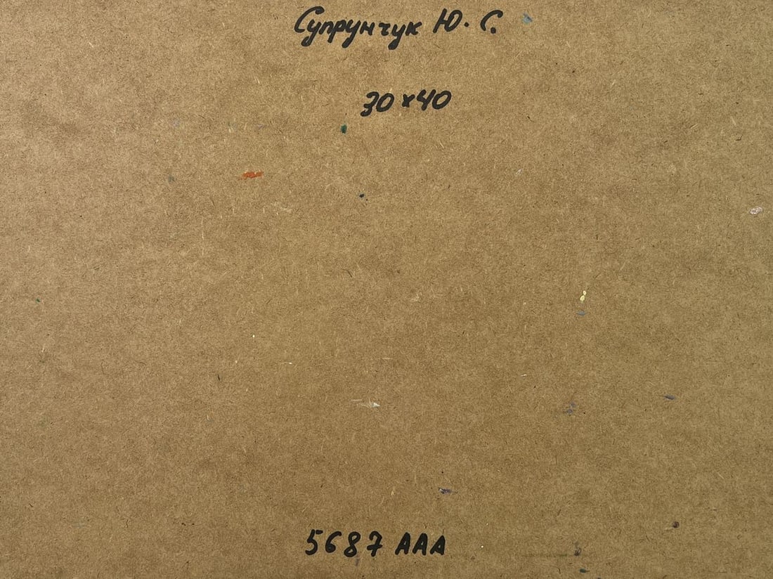 Oil painting Girl on a boat Yuriy Suprunchuk - 10