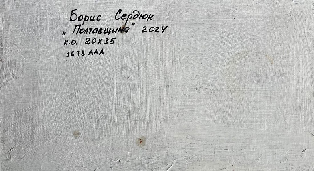 Oil painting Overlooking the city river Boris Serdyuk - 10