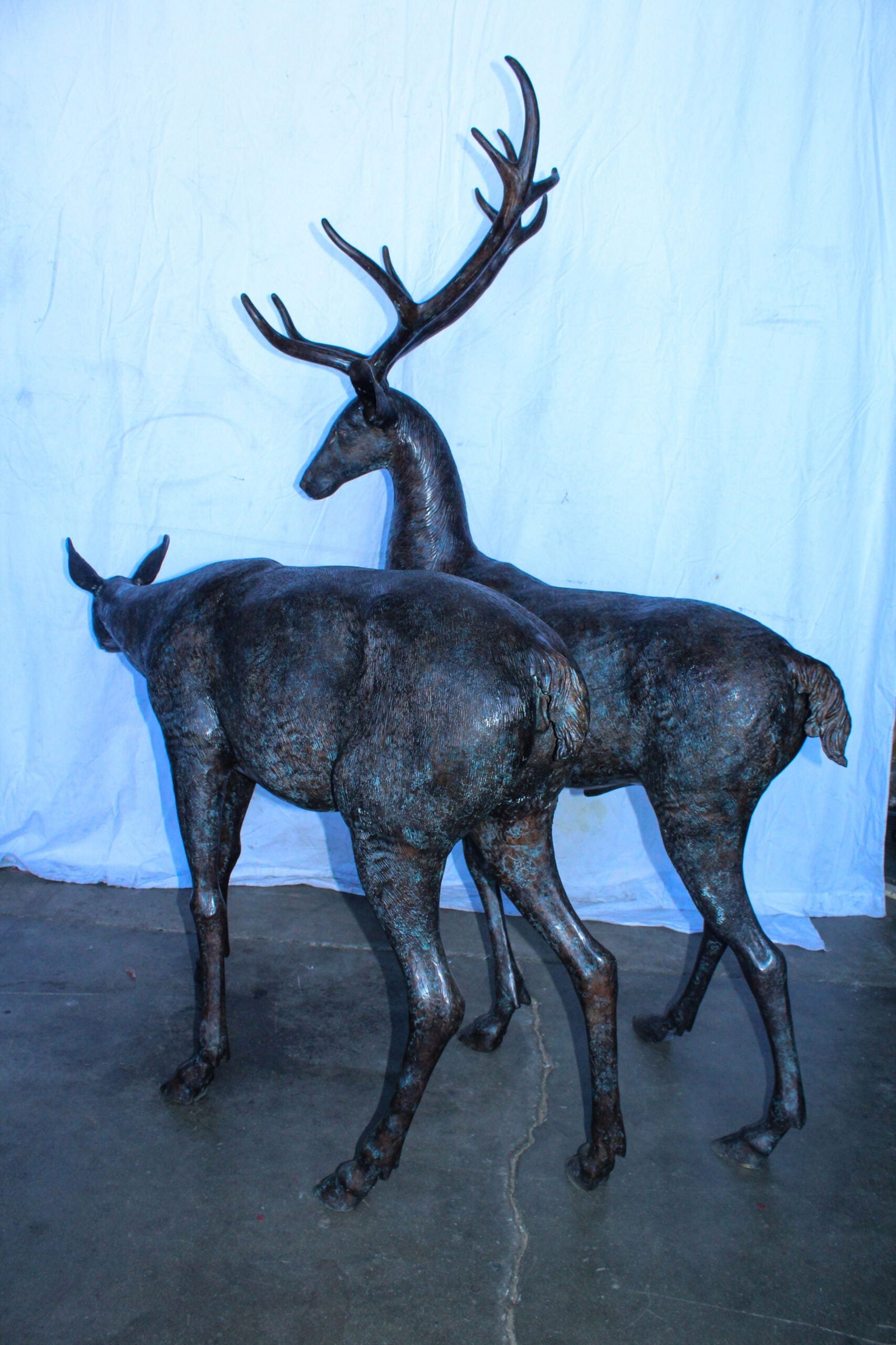 Life Size Bronze Statues of a Pair of Deer, Wildlife Display 58" x 18" x 58"H - 9