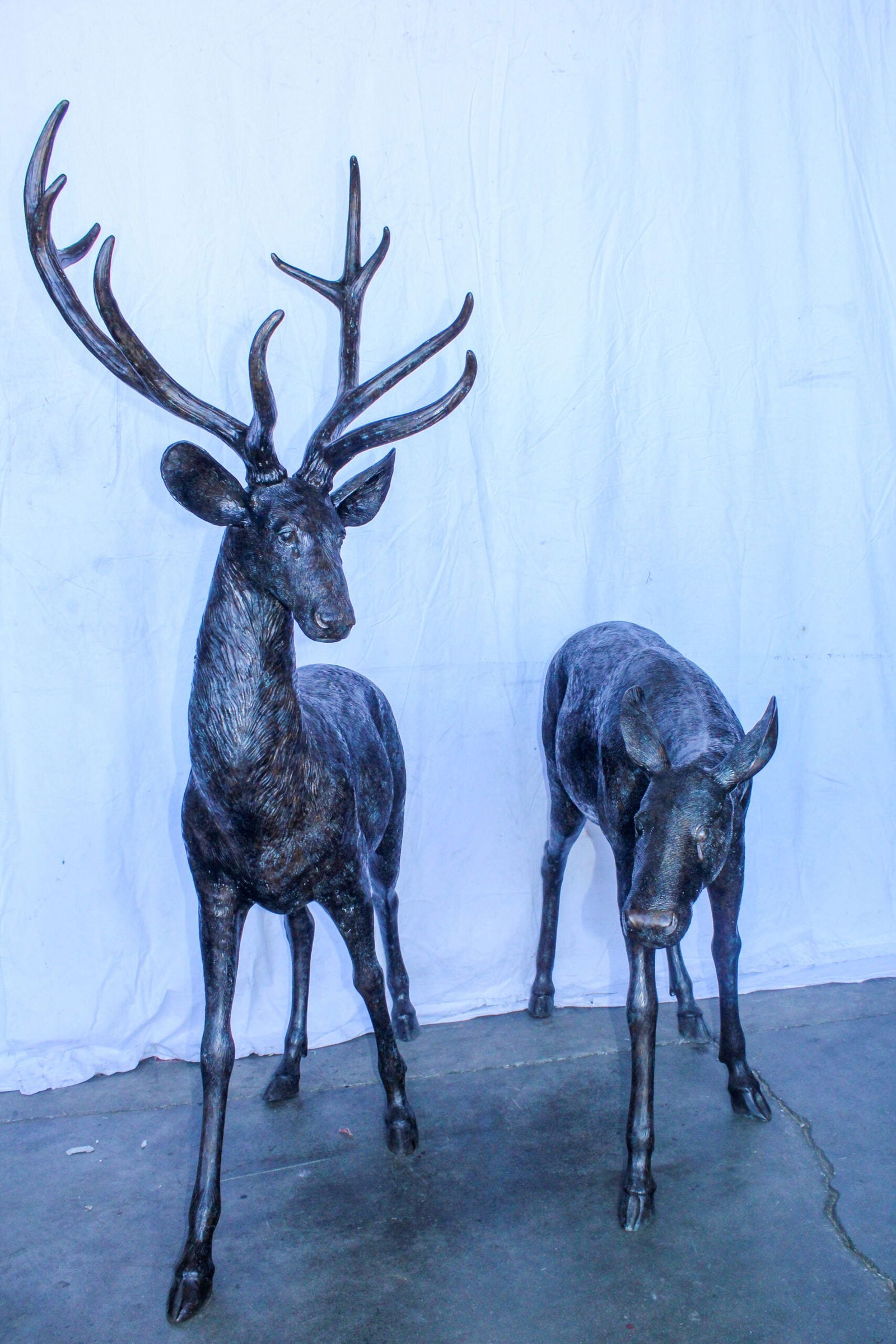 Life Size Bronze Statues of a Pair of Deer, Wildlife Display 58" x 18" x 58"H - 2