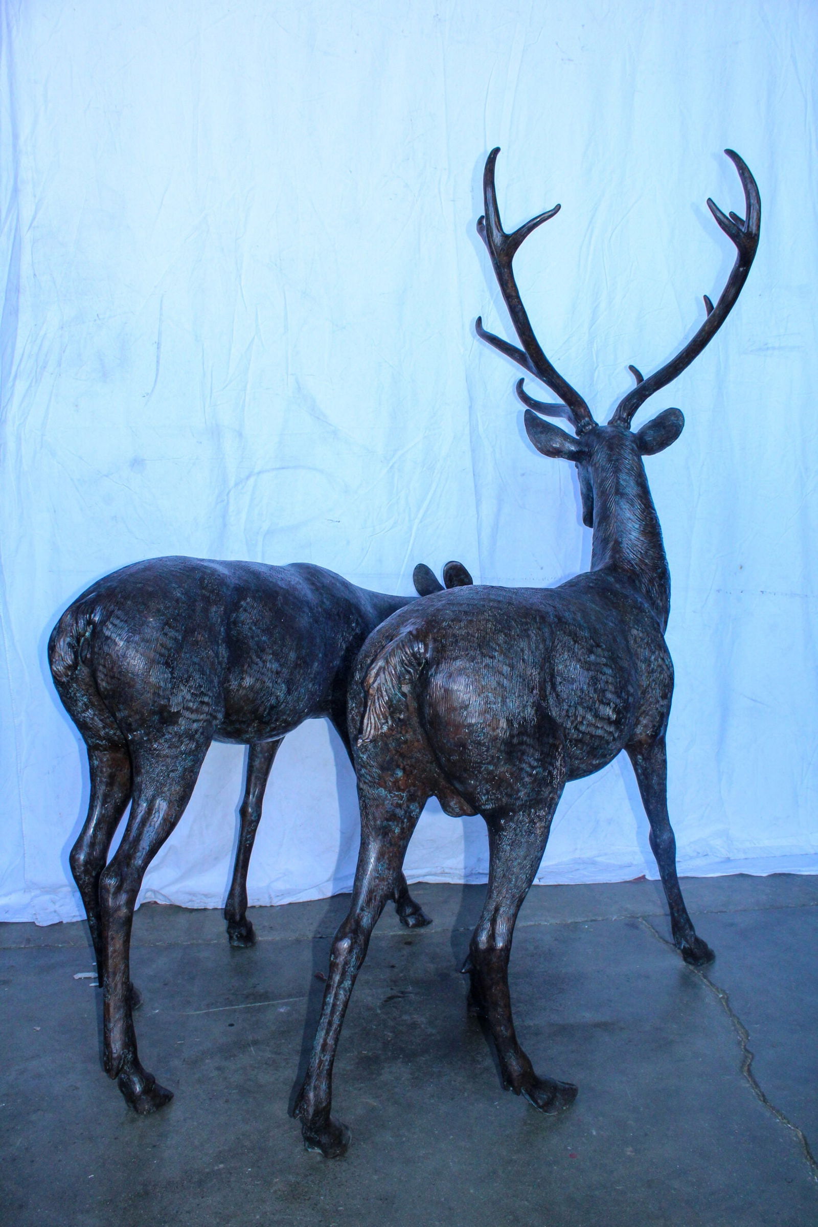 Life Size Bronze Statues of a Pair of Deer, Wildlife Display 58" x 18" x 58"H - 7