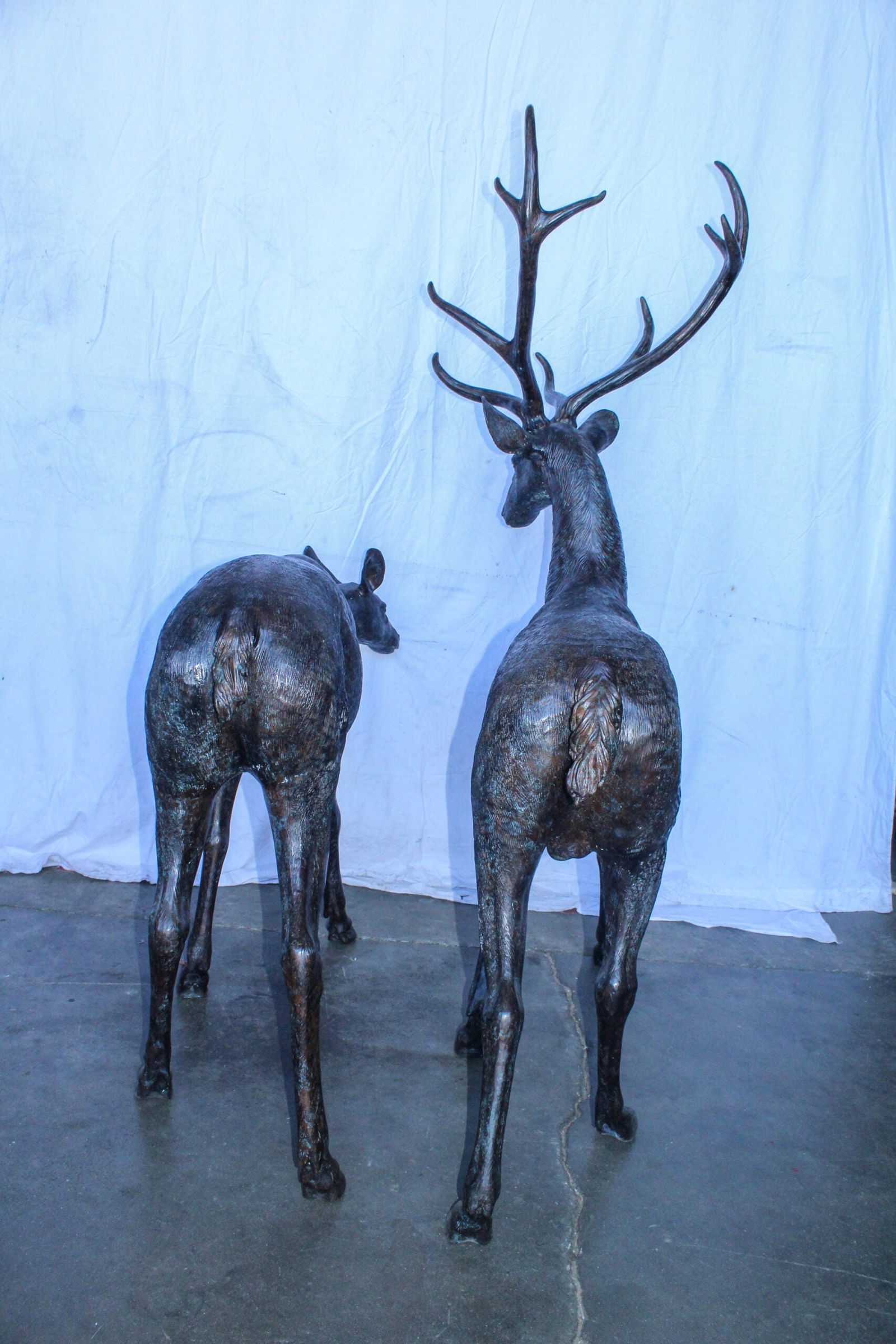 Life Size Bronze Statues of a Pair of Deer, Wildlife Display 58" x 18" x 58"H - 8