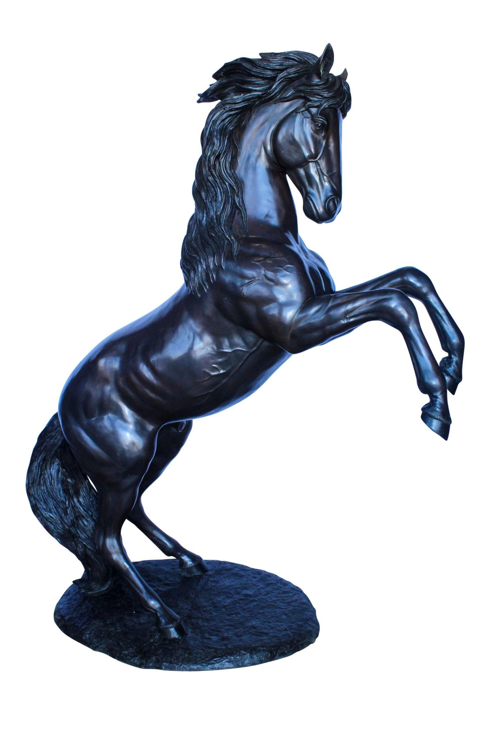 Quarter Horse Rearing, Life Size Bronze Statue, Equestrian Art 72" x 34" x 83"H: Title:Quarter Horse Rearing, Life Size Bronze Statue, Equestrian Art 72" x 34" x 83"HDescription:Embrace the spirit of equestrian beauty with this life-size bronze statue of a quarter horse rearing.