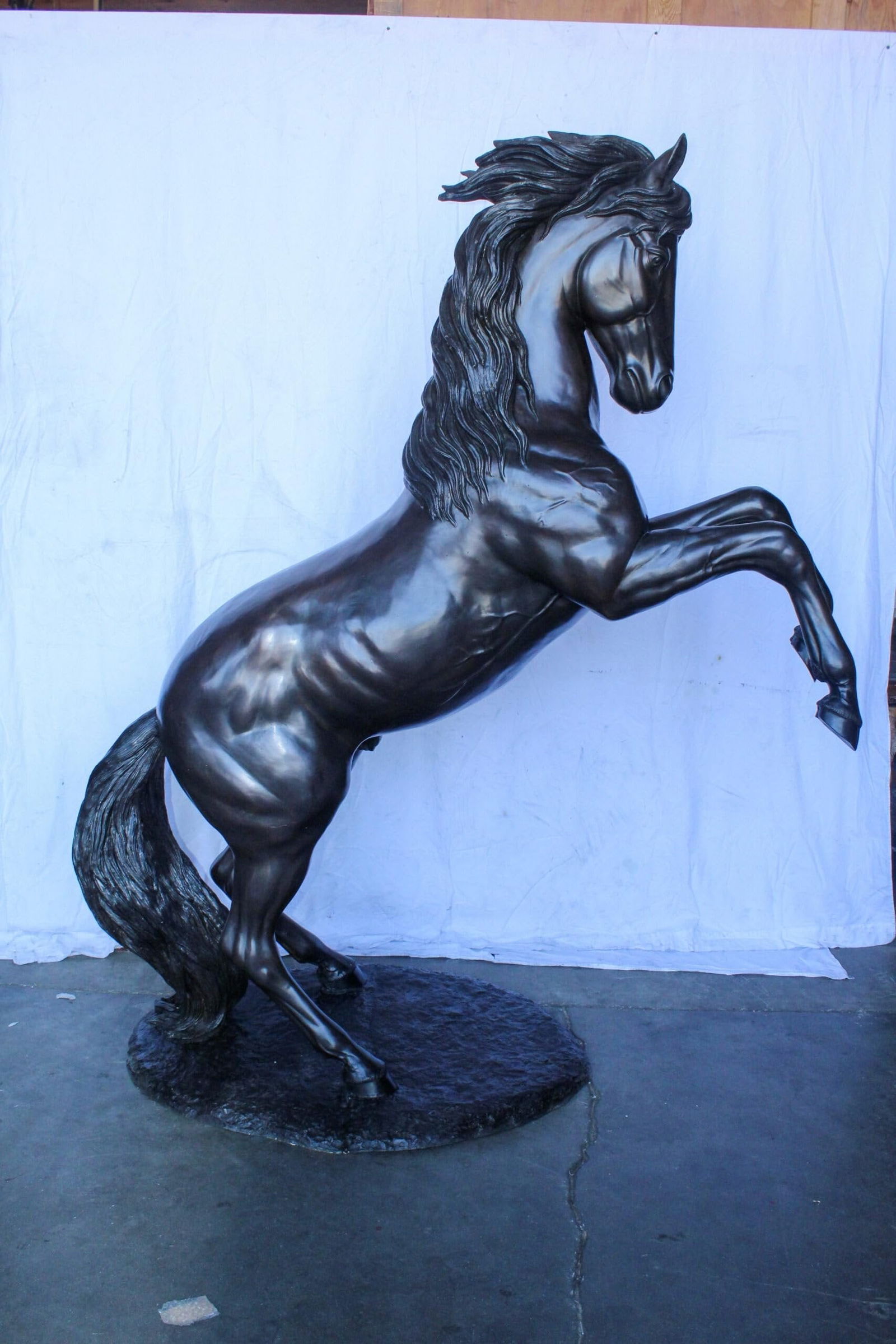 Quarter Horse Rearing, Life Size Bronze Statue, Equestrian Art 72" x 34" x 83"H - 4