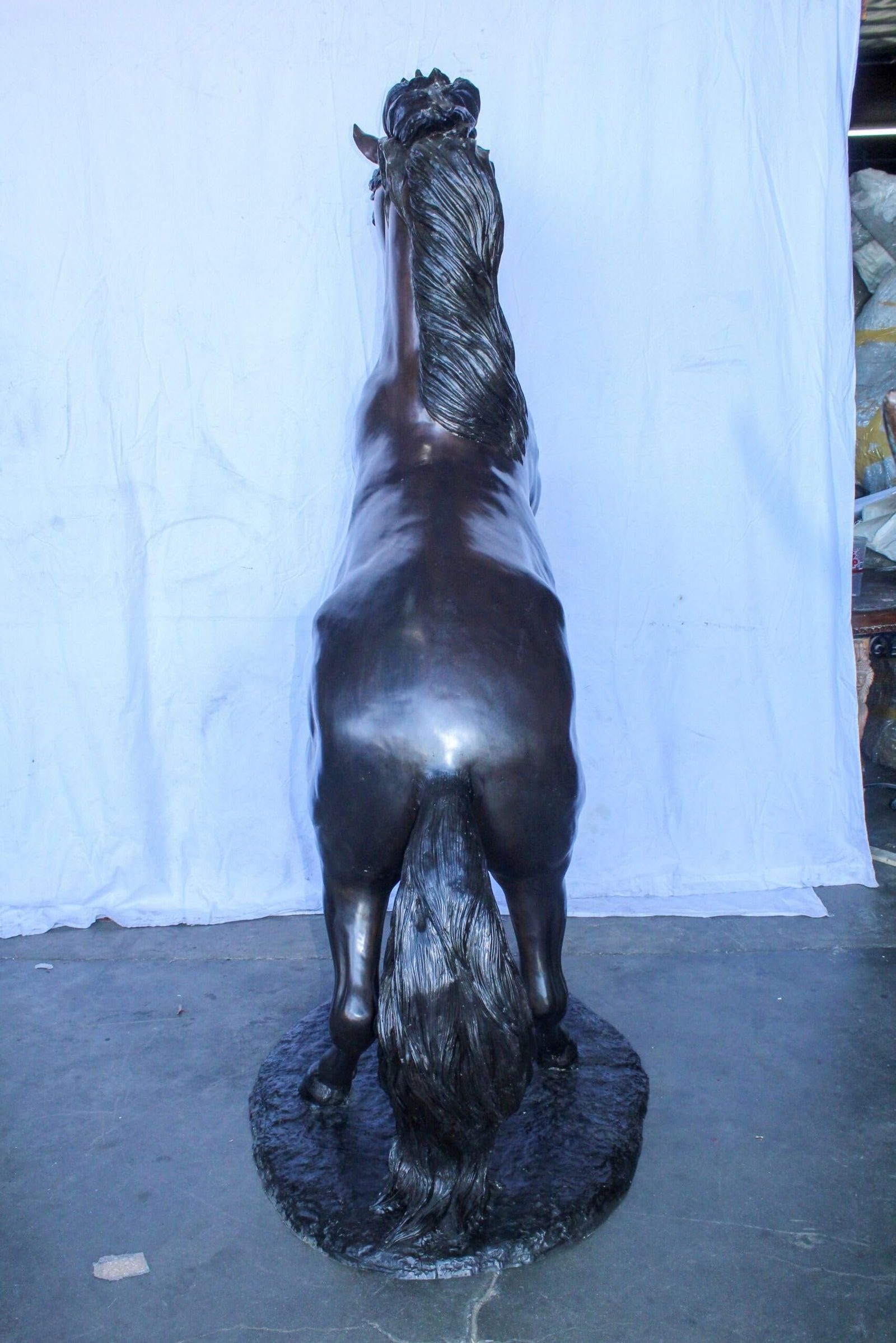 Quarter Horse Rearing, Life Size Bronze Statue, Equestrian Art 72" x 34" x 83"H - 8