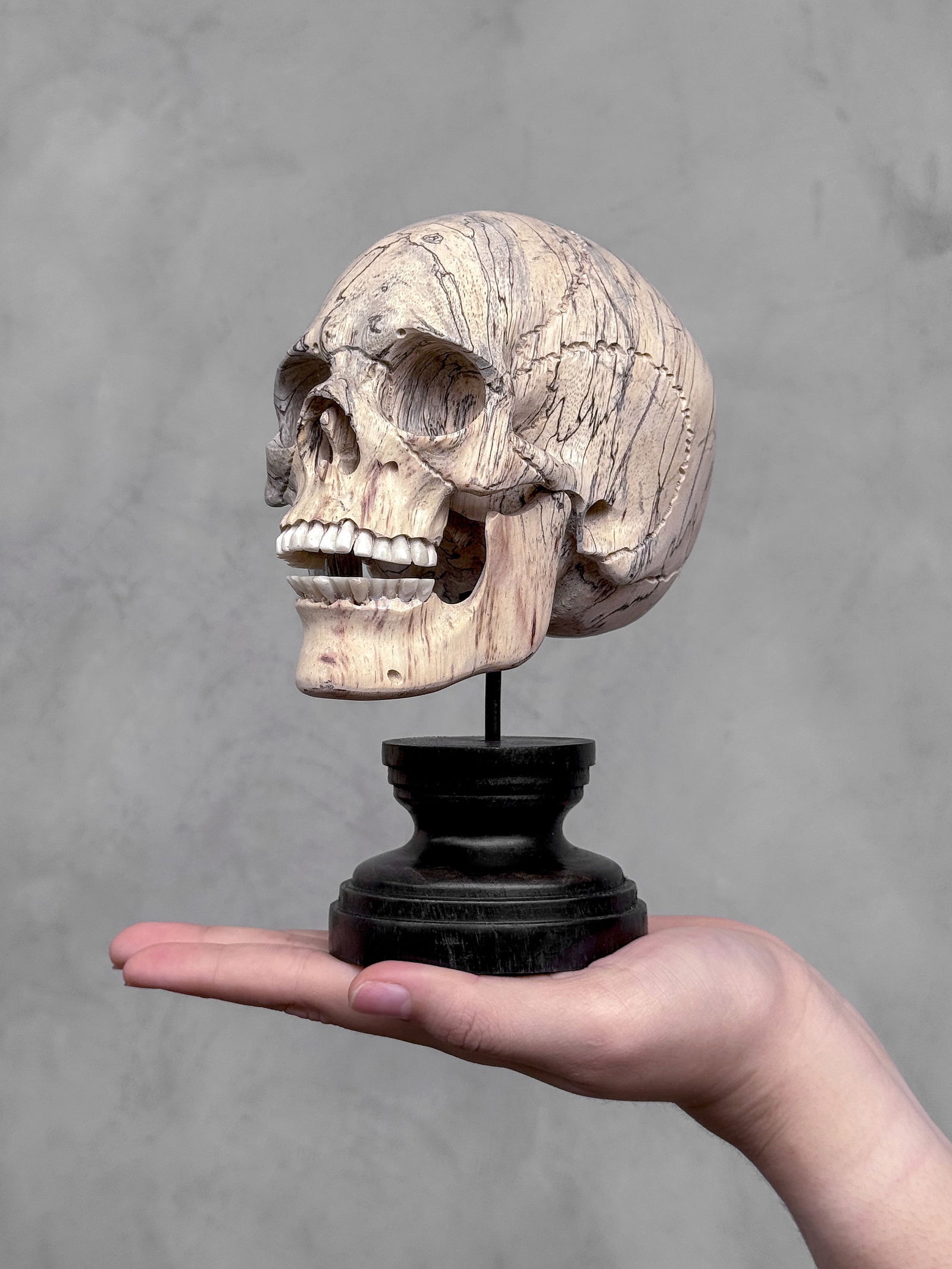 Wonderful human skull with a beautiful grain on a custom stand (1 of 10)