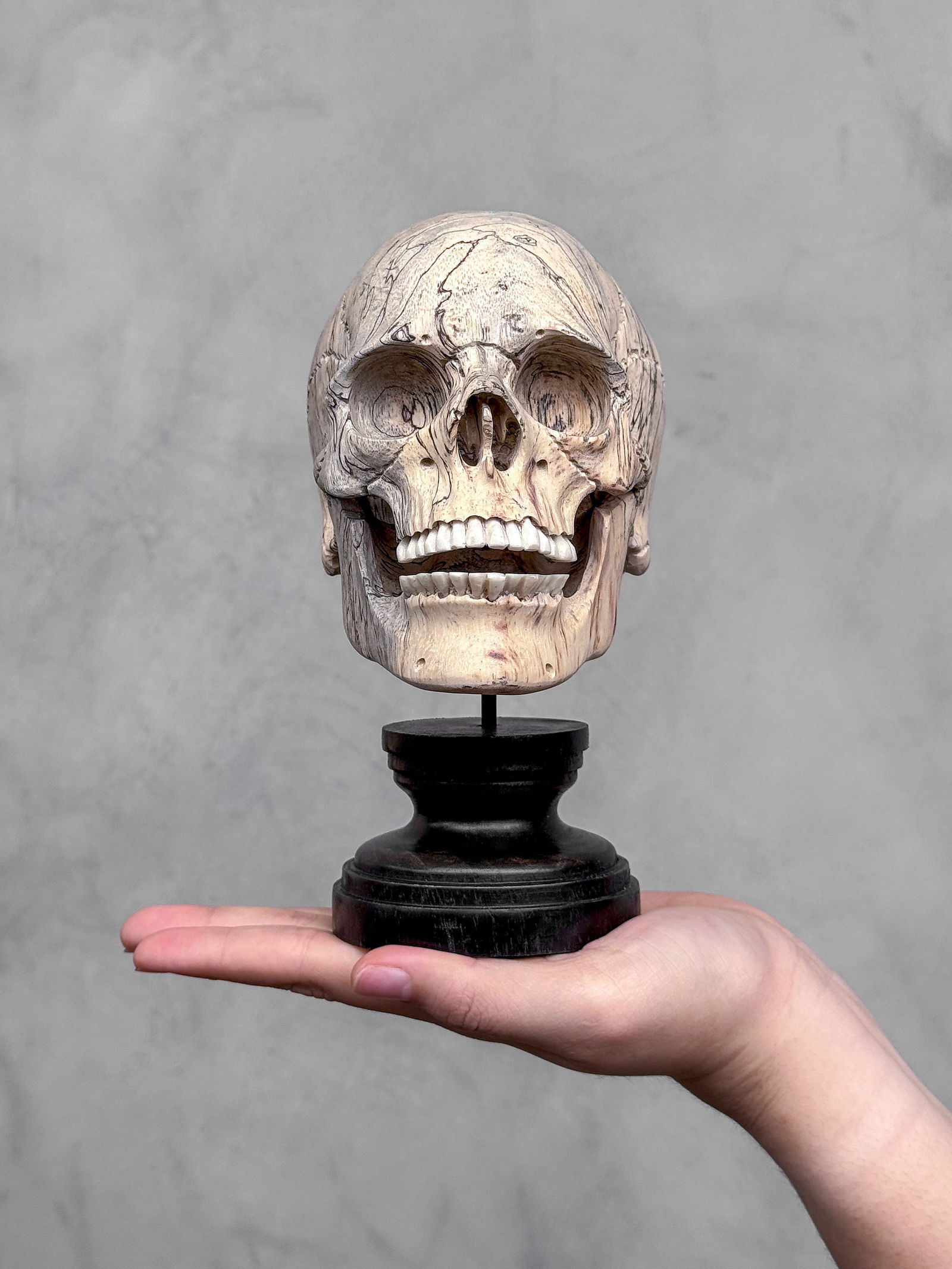 Wonderful human skull with a beautiful grain on a custom stand - 2