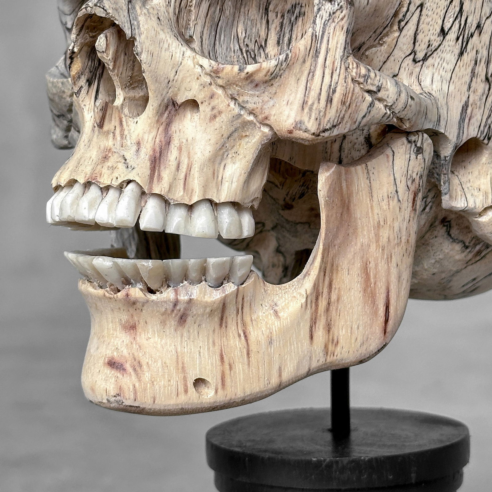 Wonderful human skull with a beautiful grain on a custom stand - 4