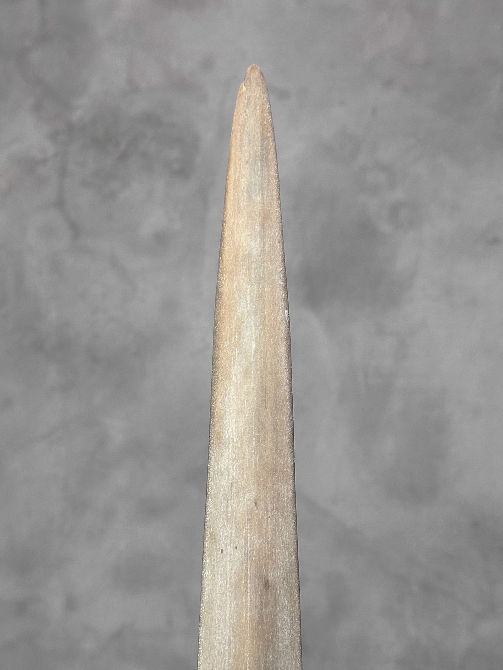 Carved swordfish tusk - Maori Mangapore - 10