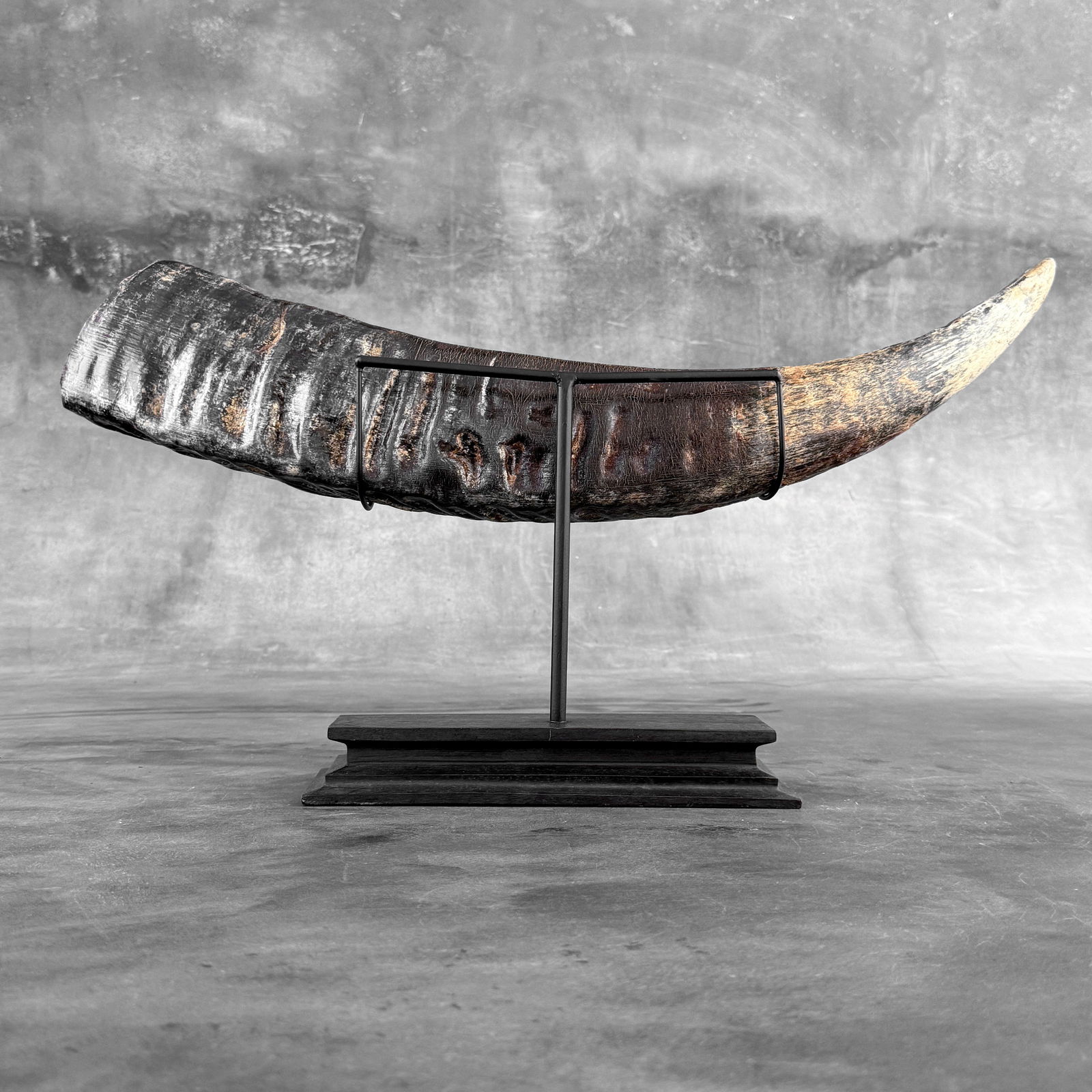 Finely engraved large waterbuffalo horn - Elephants motif - 10