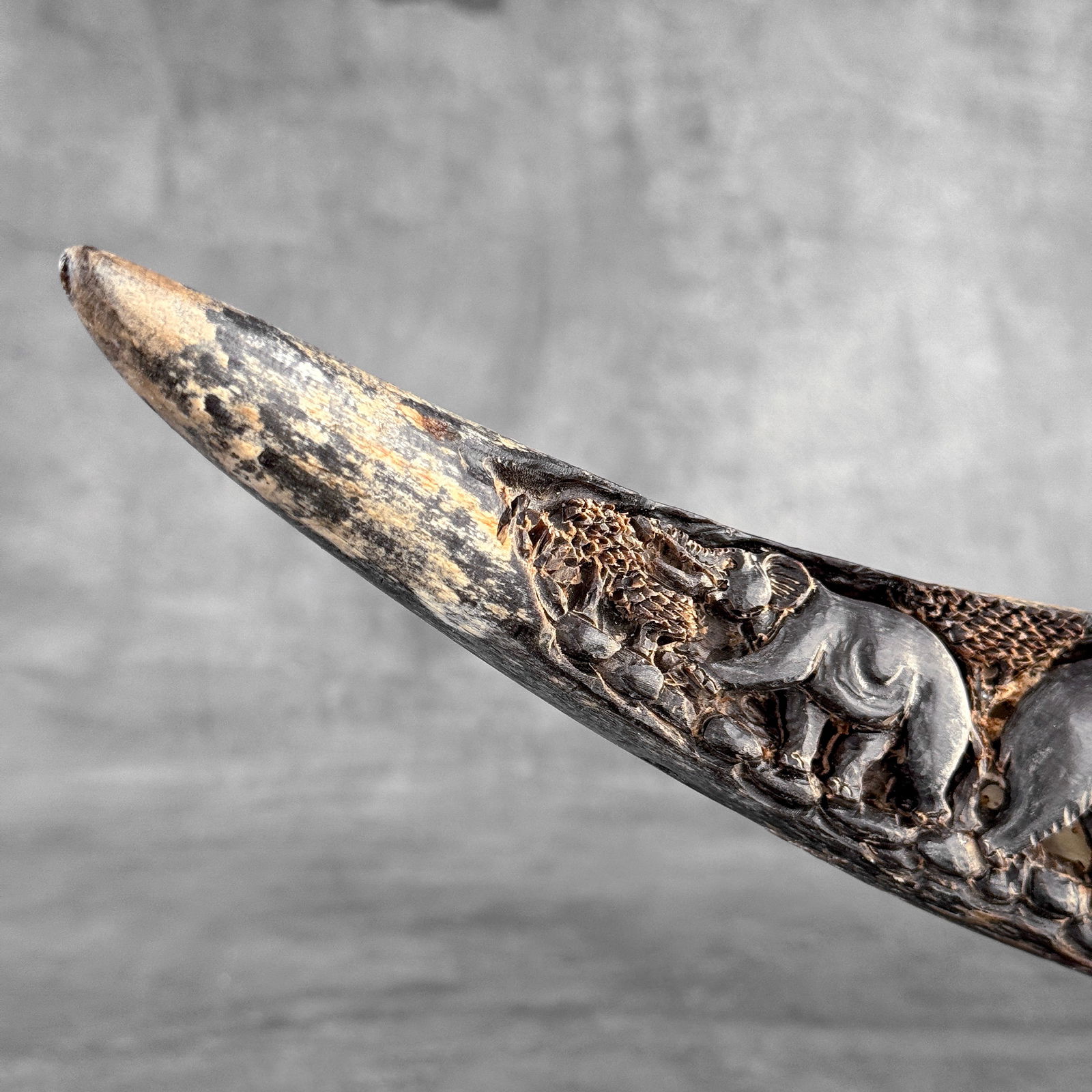 Finely engraved large waterbuffalo horn - Elephants motif - 4