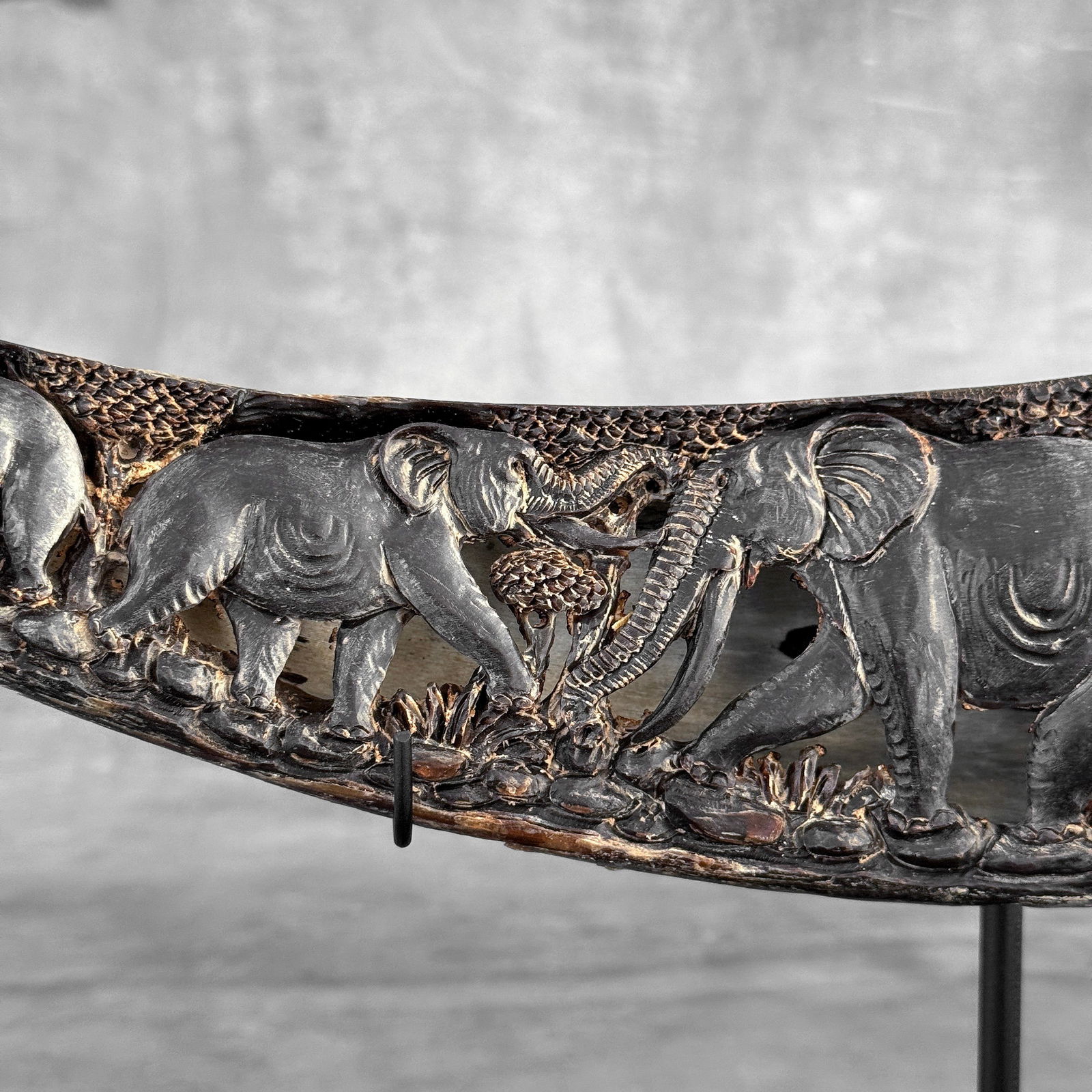 Finely engraved large waterbuffalo horn - Elephants motif - 5