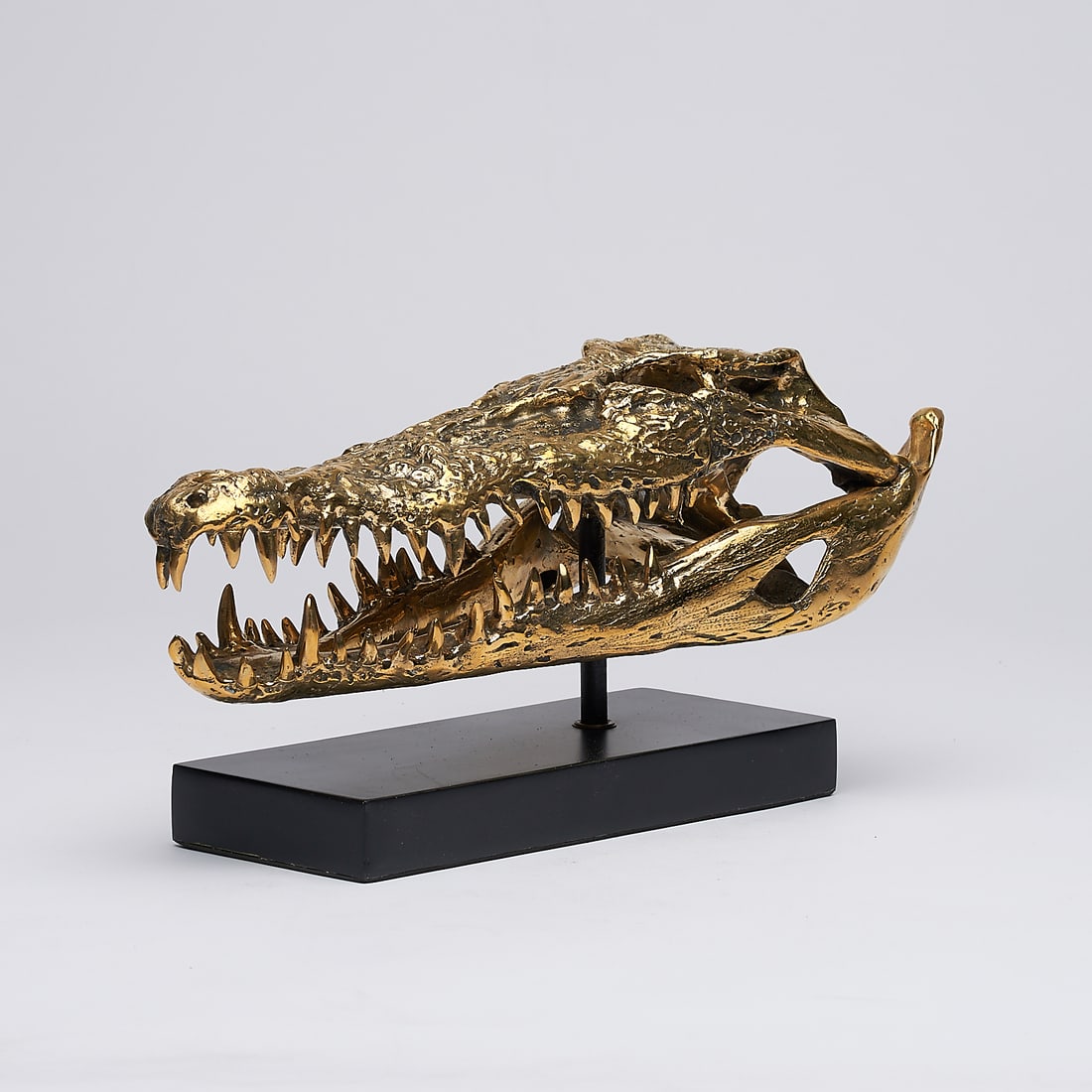 Fine bronze statue of a crocodile skull - 4